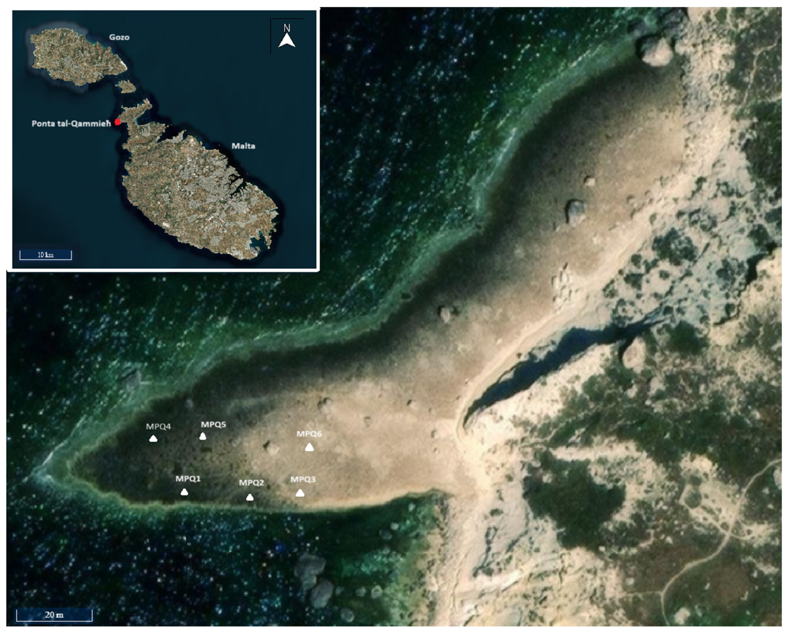 Geosciences 14 00290 g001