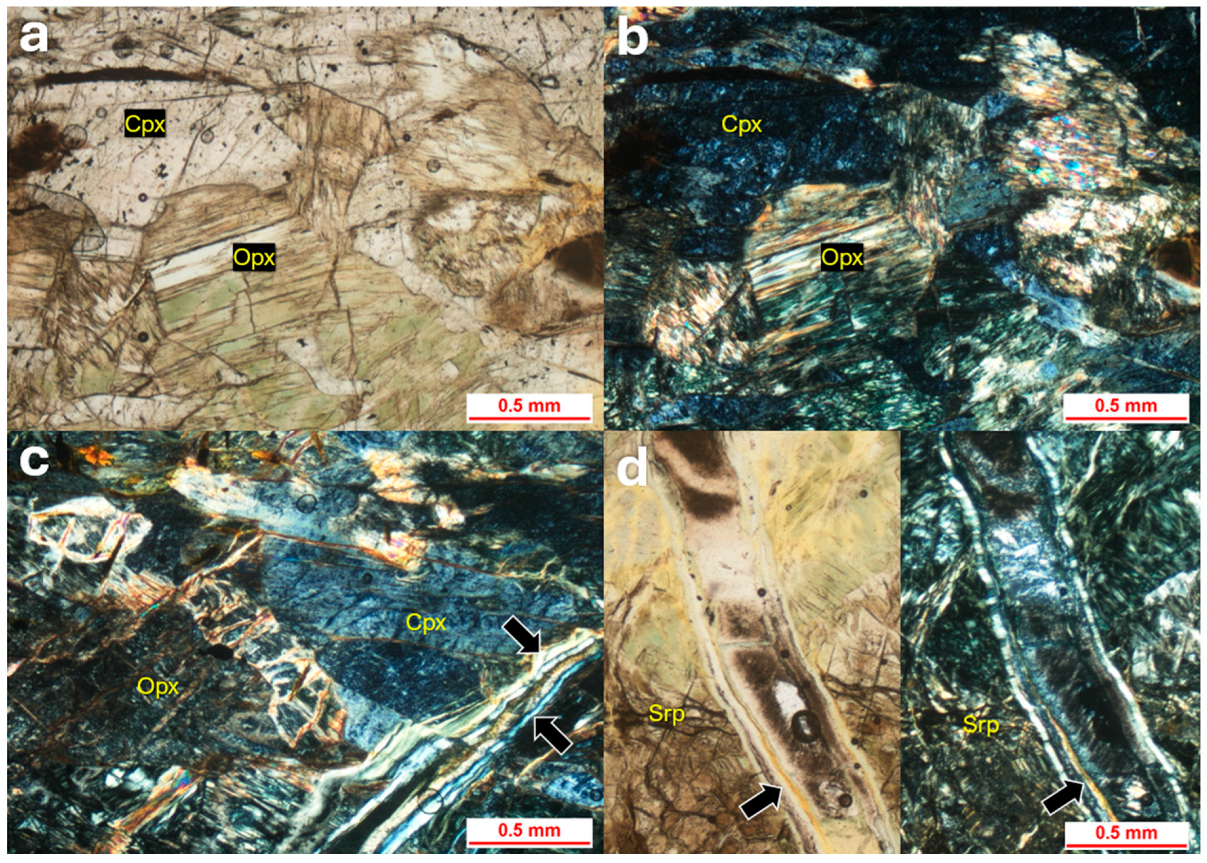 Geosciences 15 00089 g007