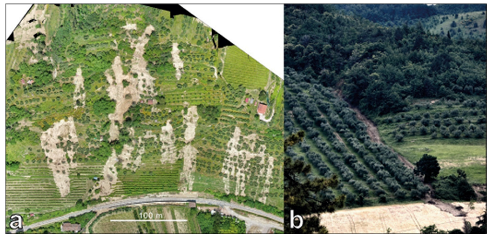 Geosciences 15 00101 g003
