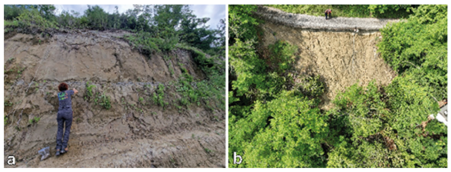 Geosciences 15 00101 g008