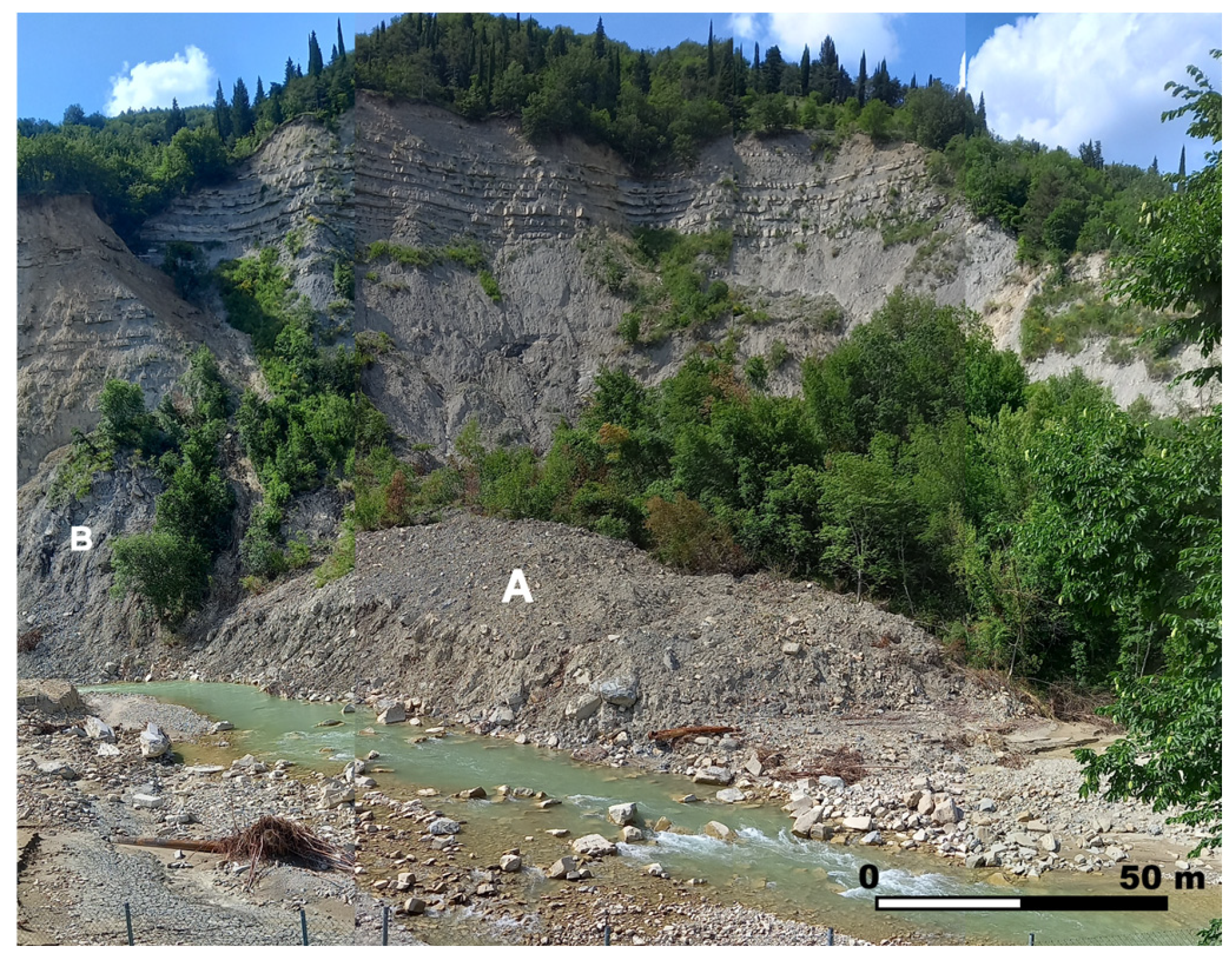 Geosciences 15 00101 g010