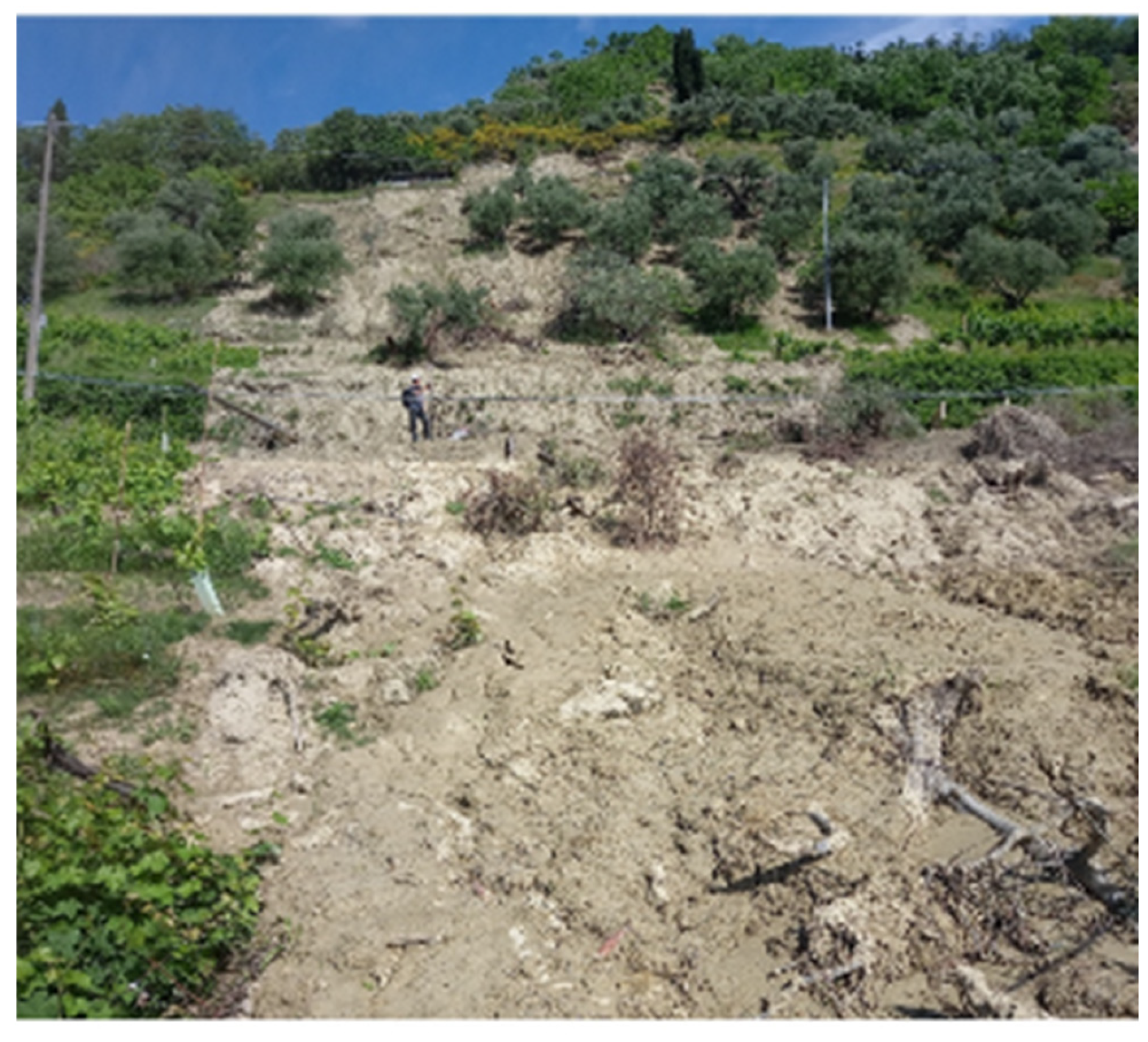 Geosciences 15 00101 g012