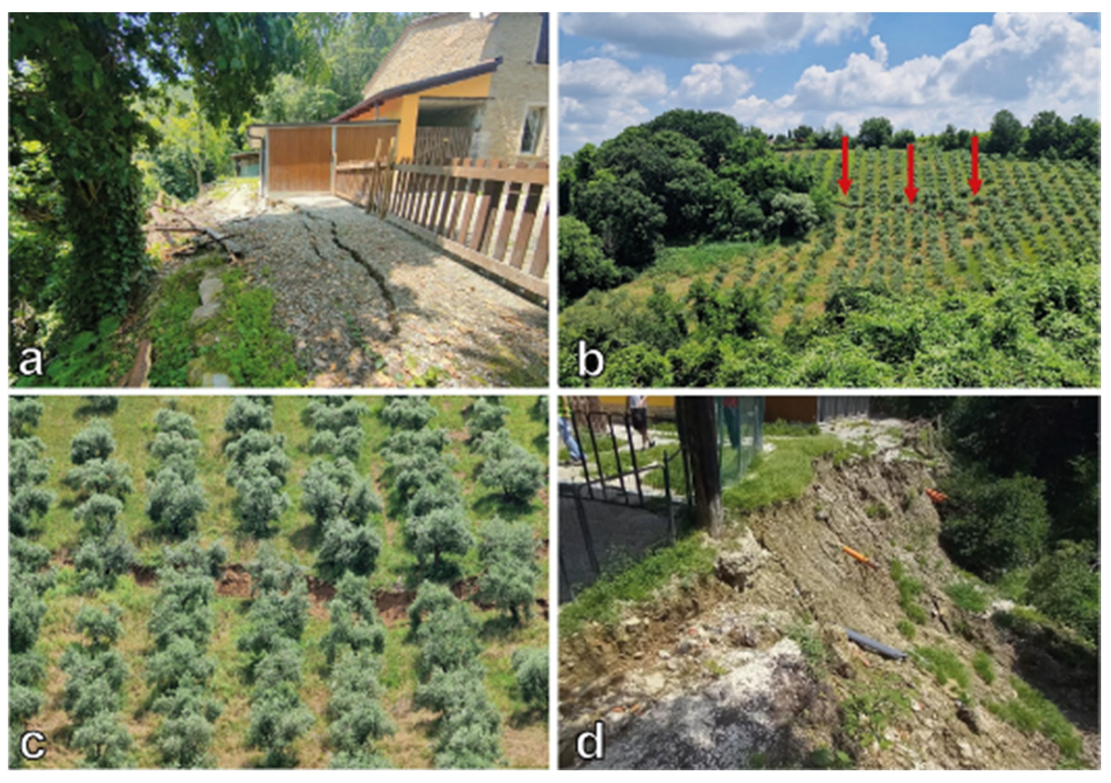 Geosciences 15 00101 g014