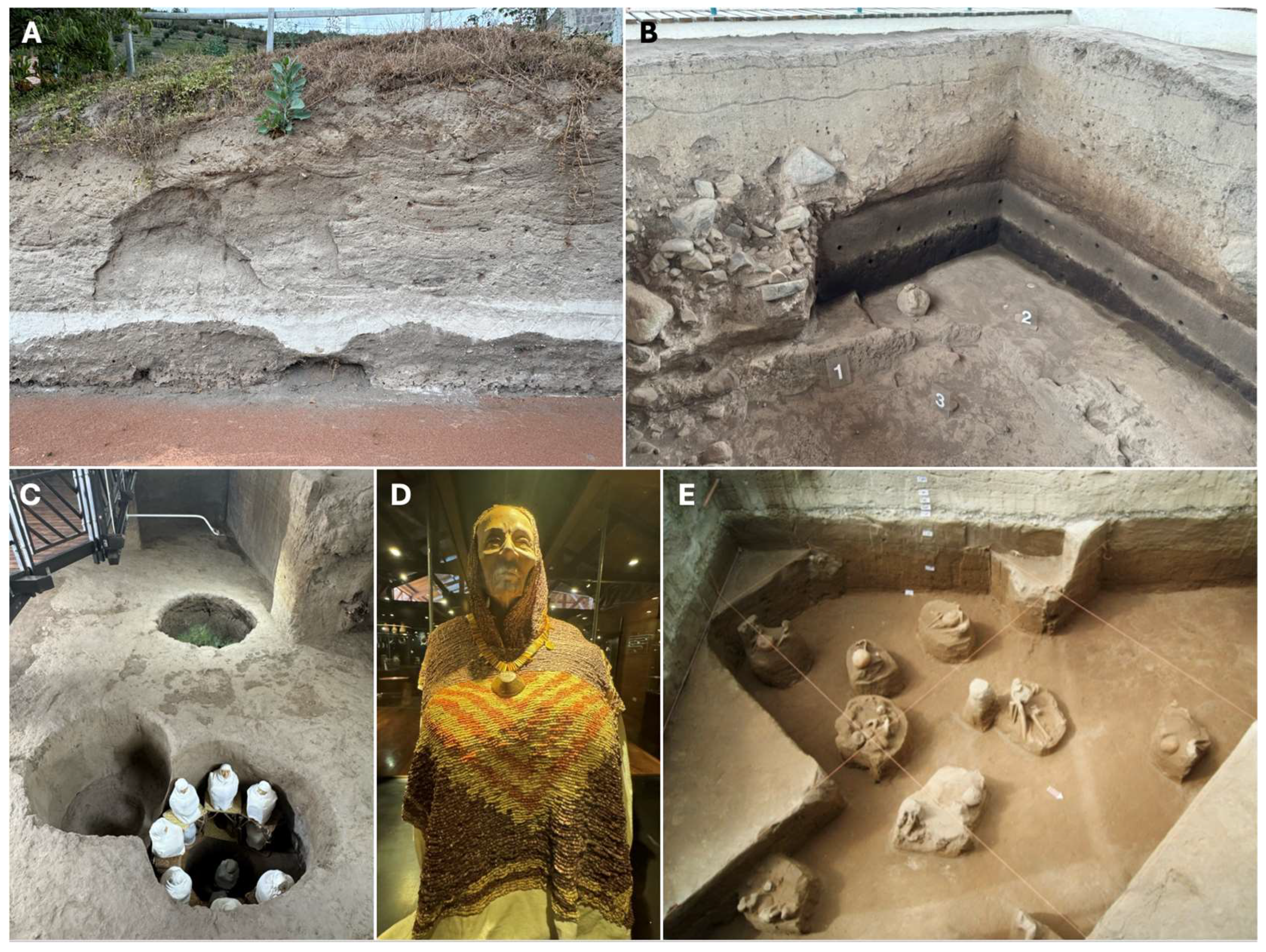 Geosciences 15 00116 g009