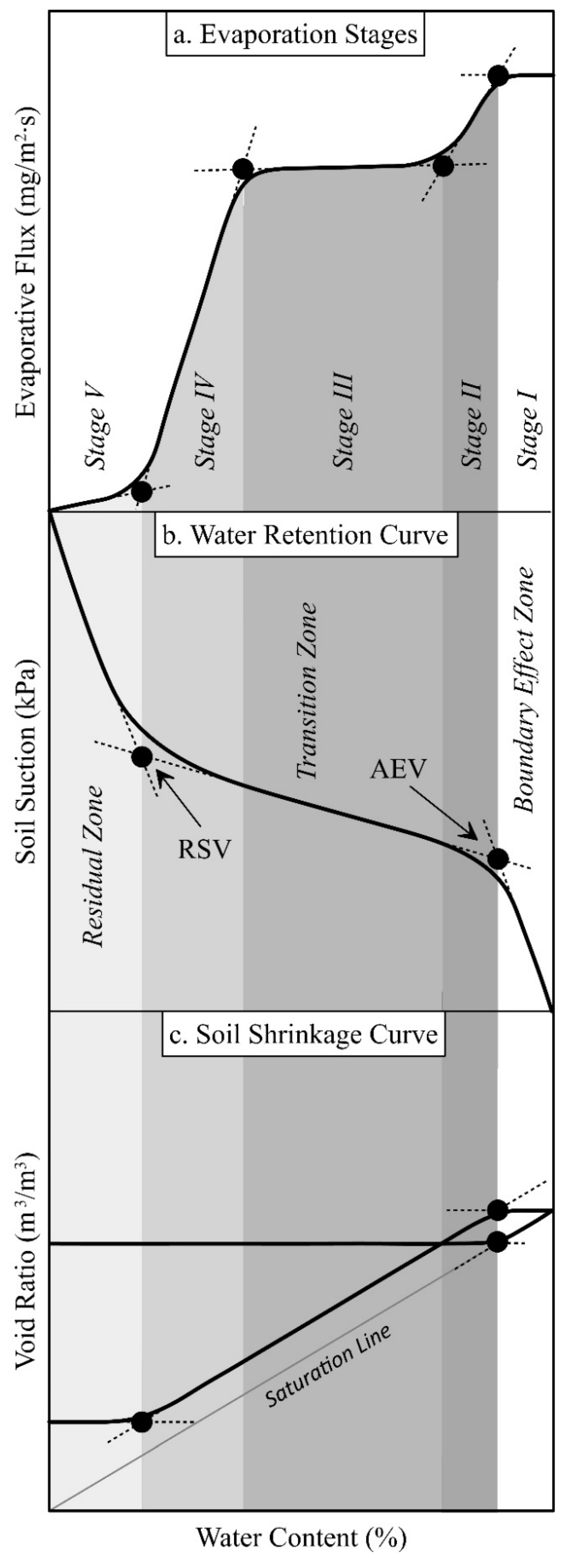 Three-dimensional models of the investigated soils during drying under