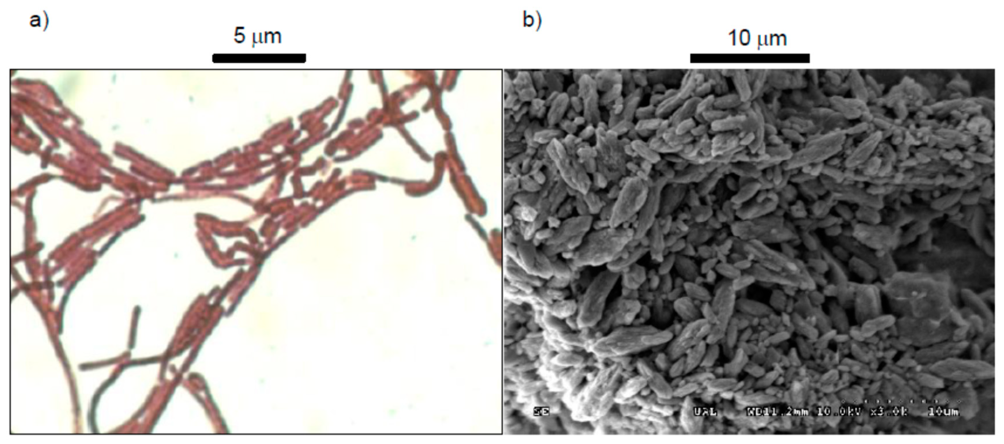 Geotechnics 03 00014 g006