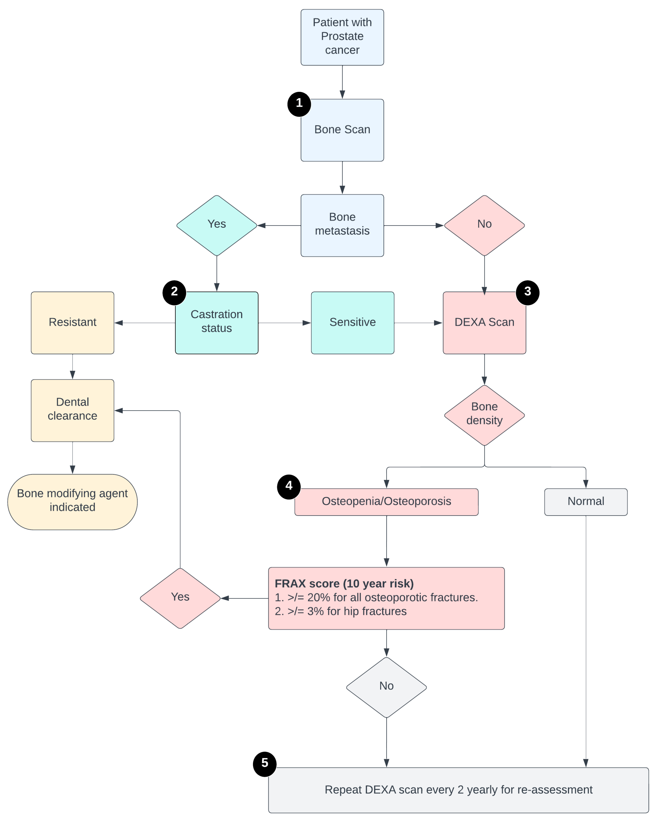 Geriatrics 07 00133 g002 Geriatrics 07 00133 g002