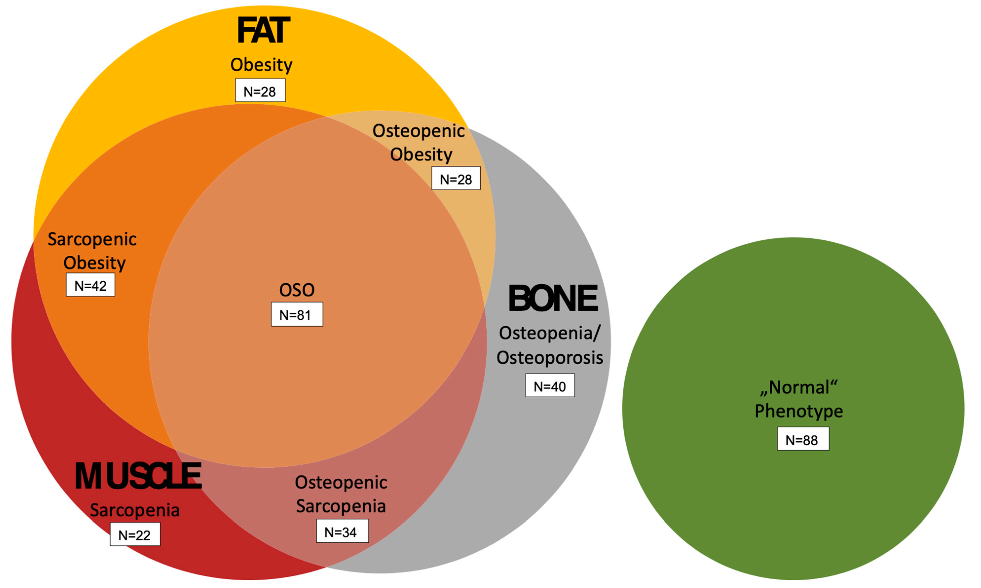 Geriatrics 09 00150 g002