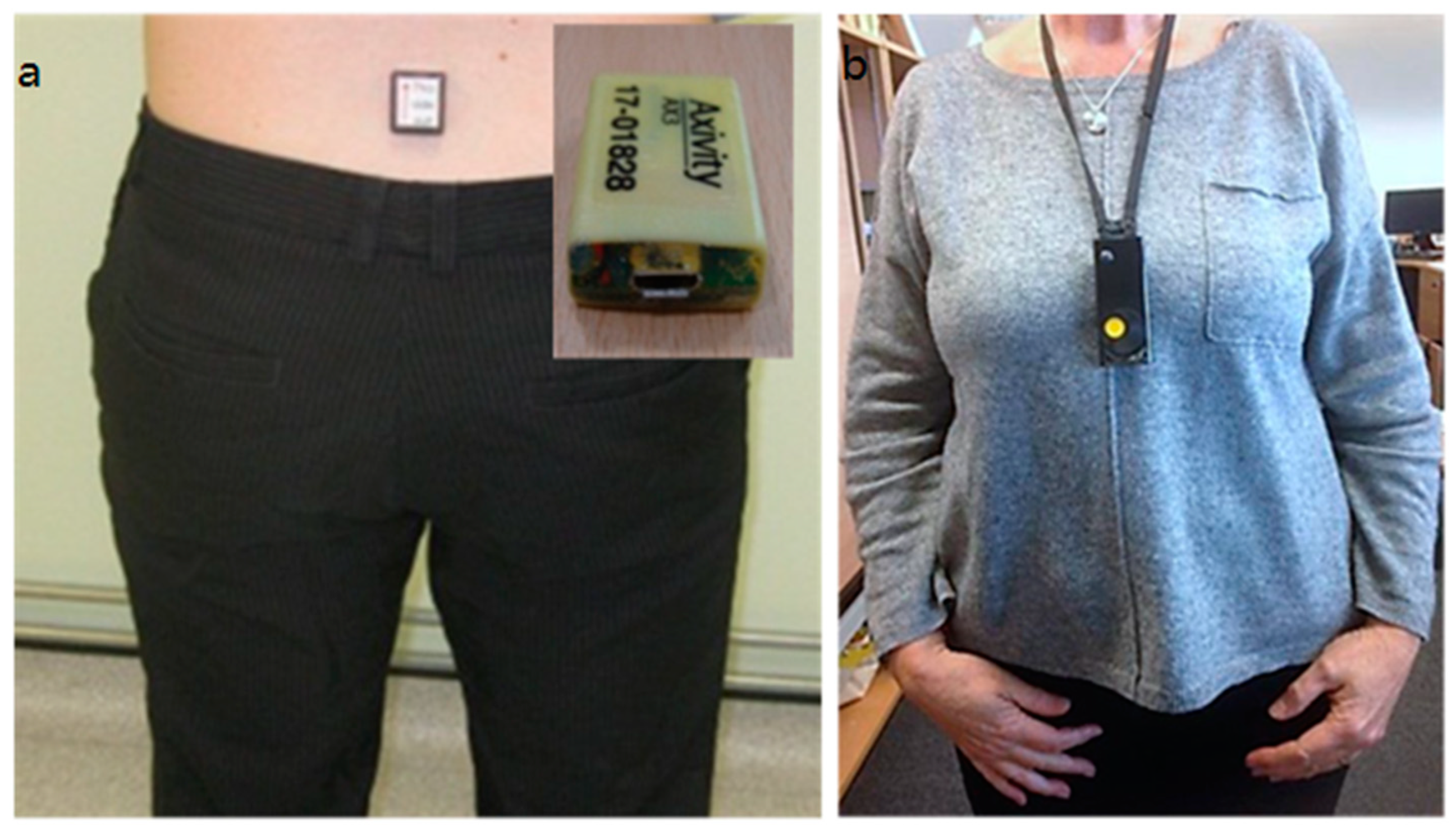 Geriatrics 10 00008 g001 Geriatrics 10 00008 g001