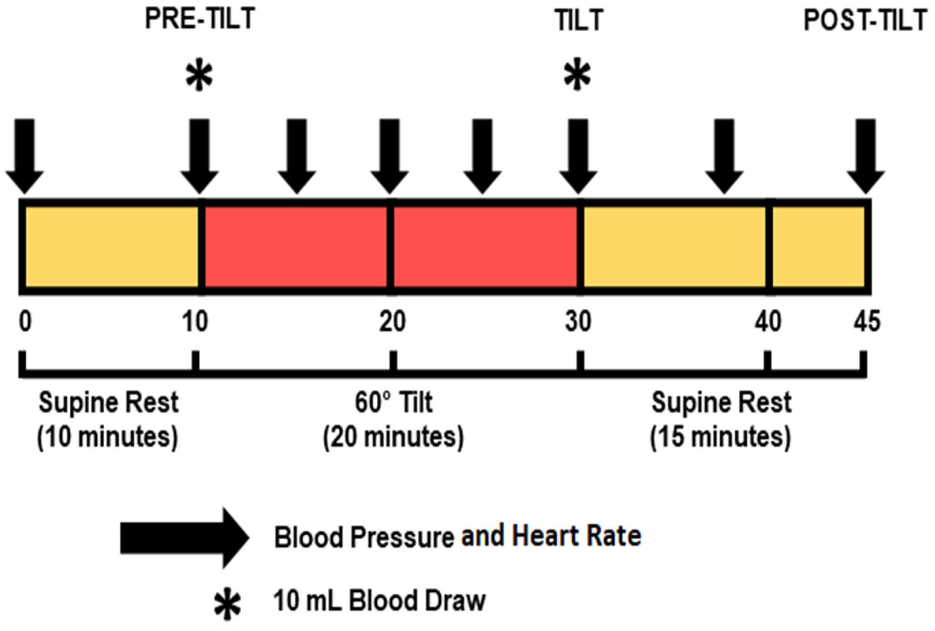 Geriatrics 10 00042 g002