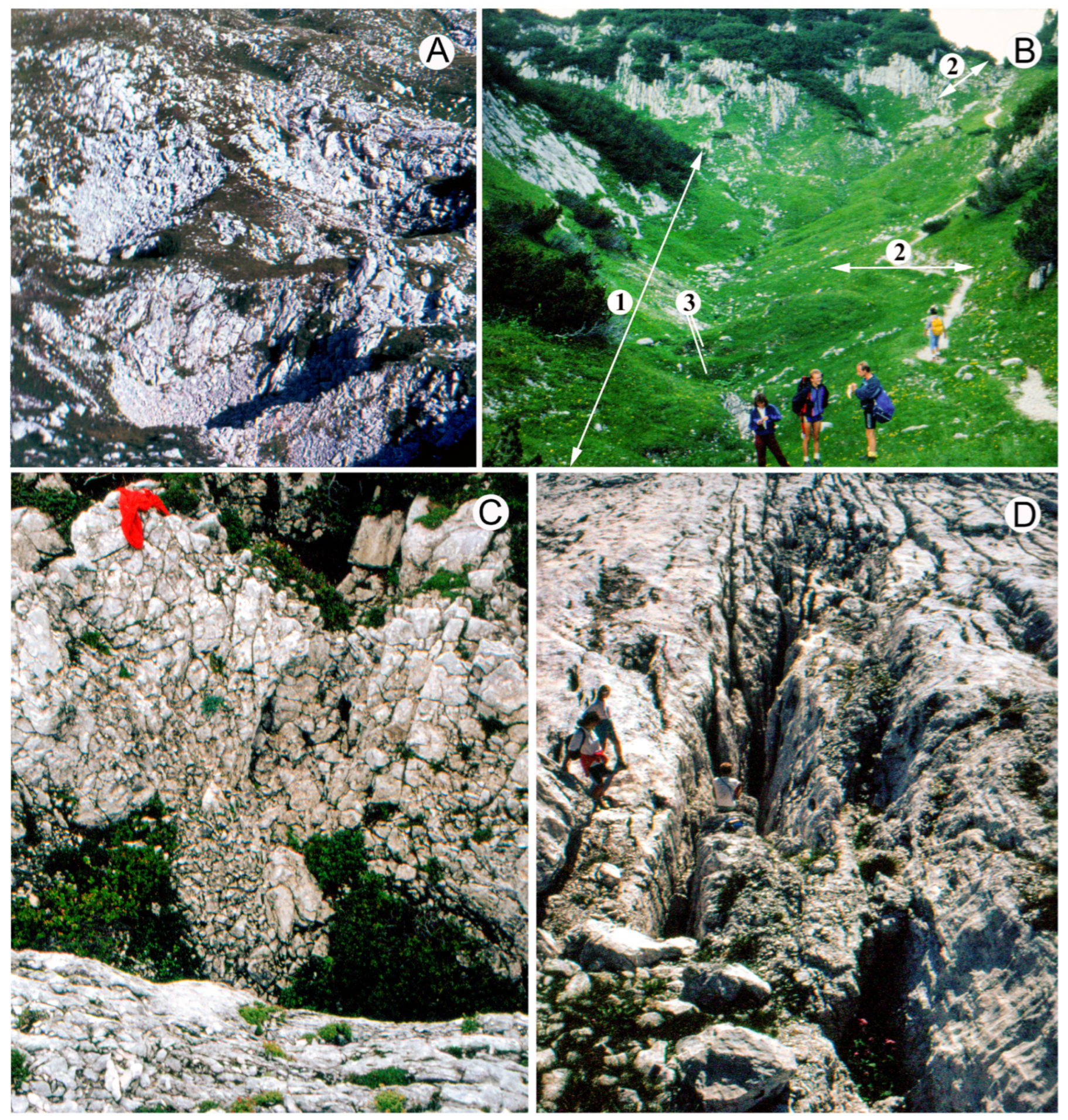 Glacies 01 00008 g002