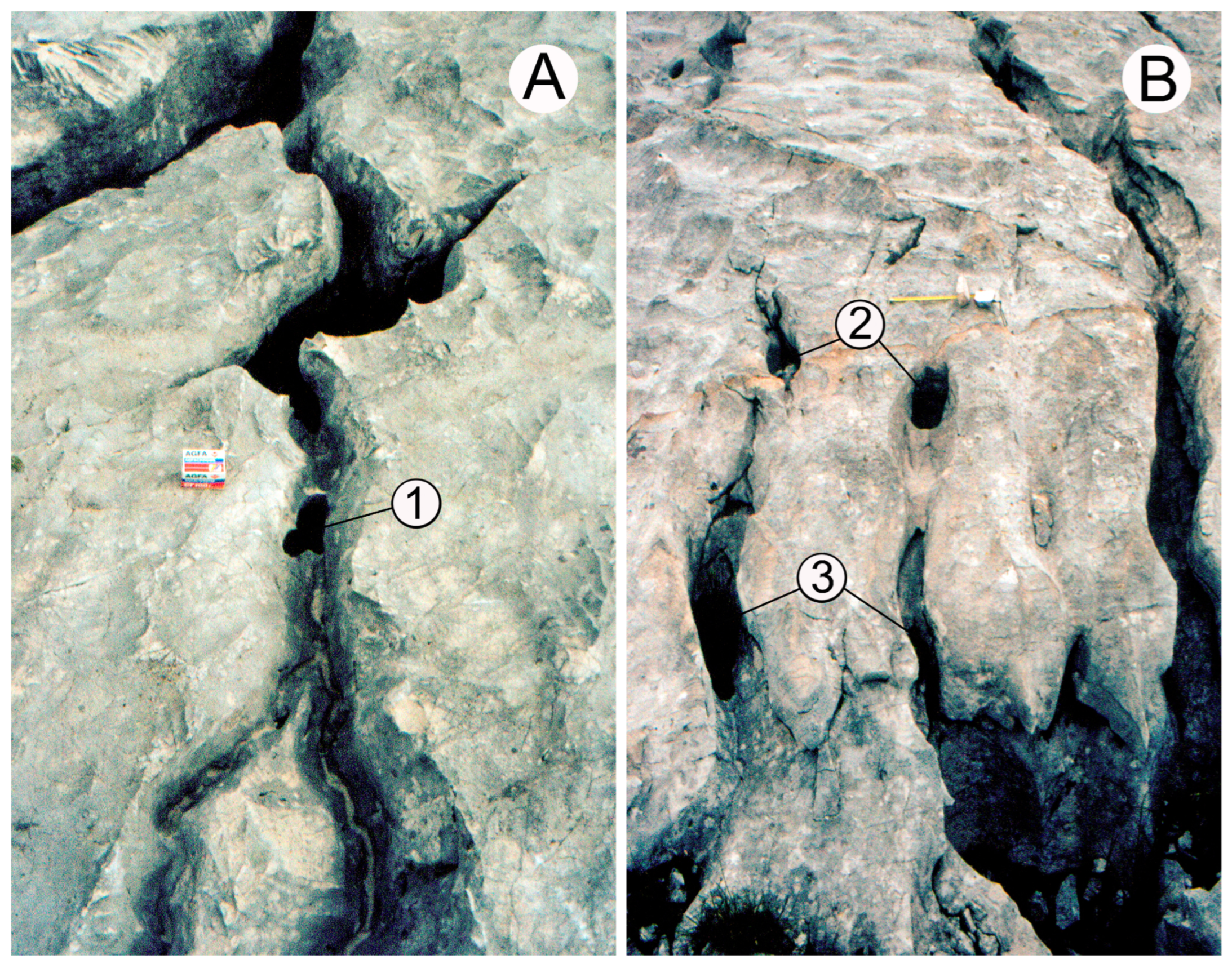 Glacies 01 00008 g010