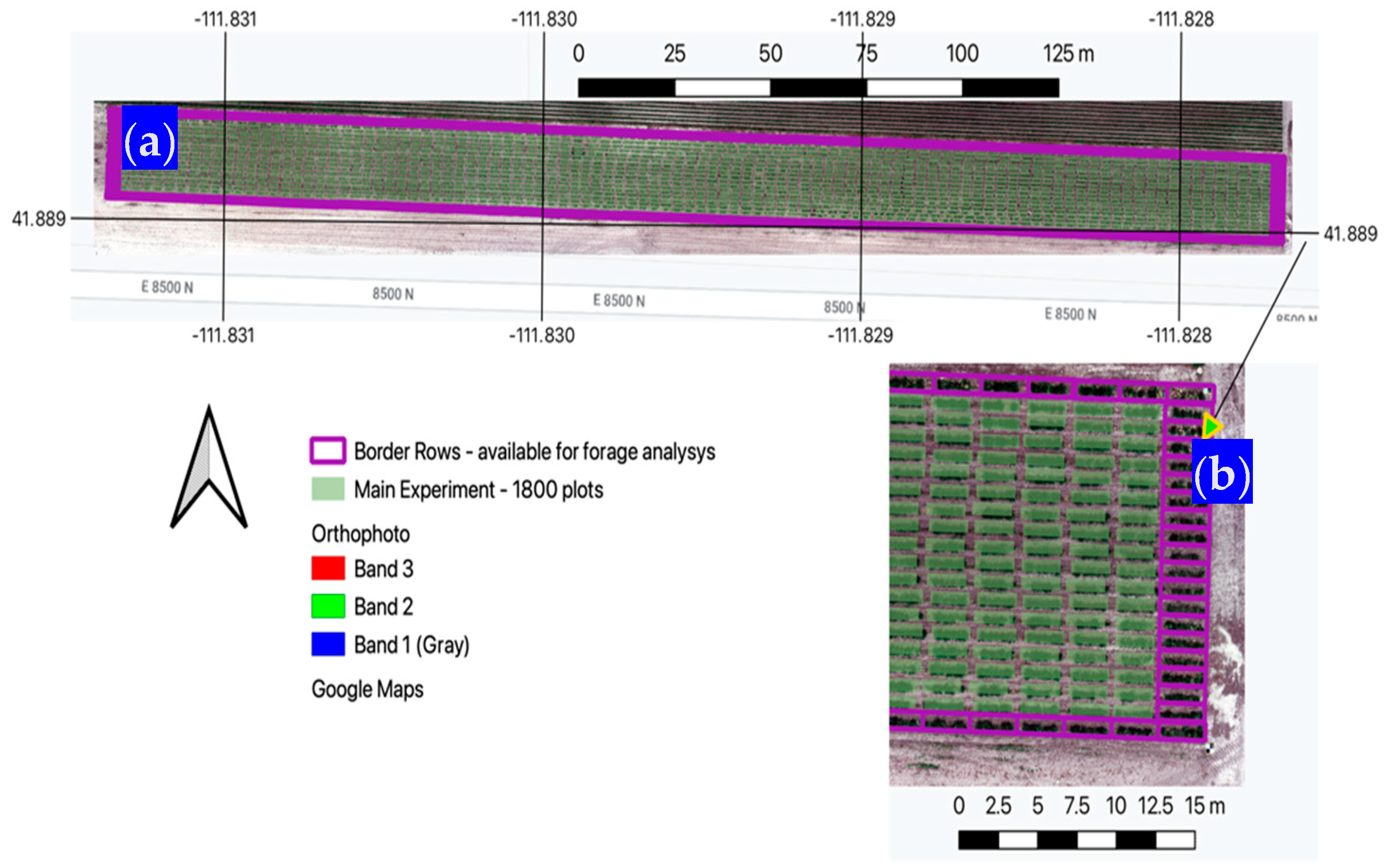 Grasses 03 00007 g003