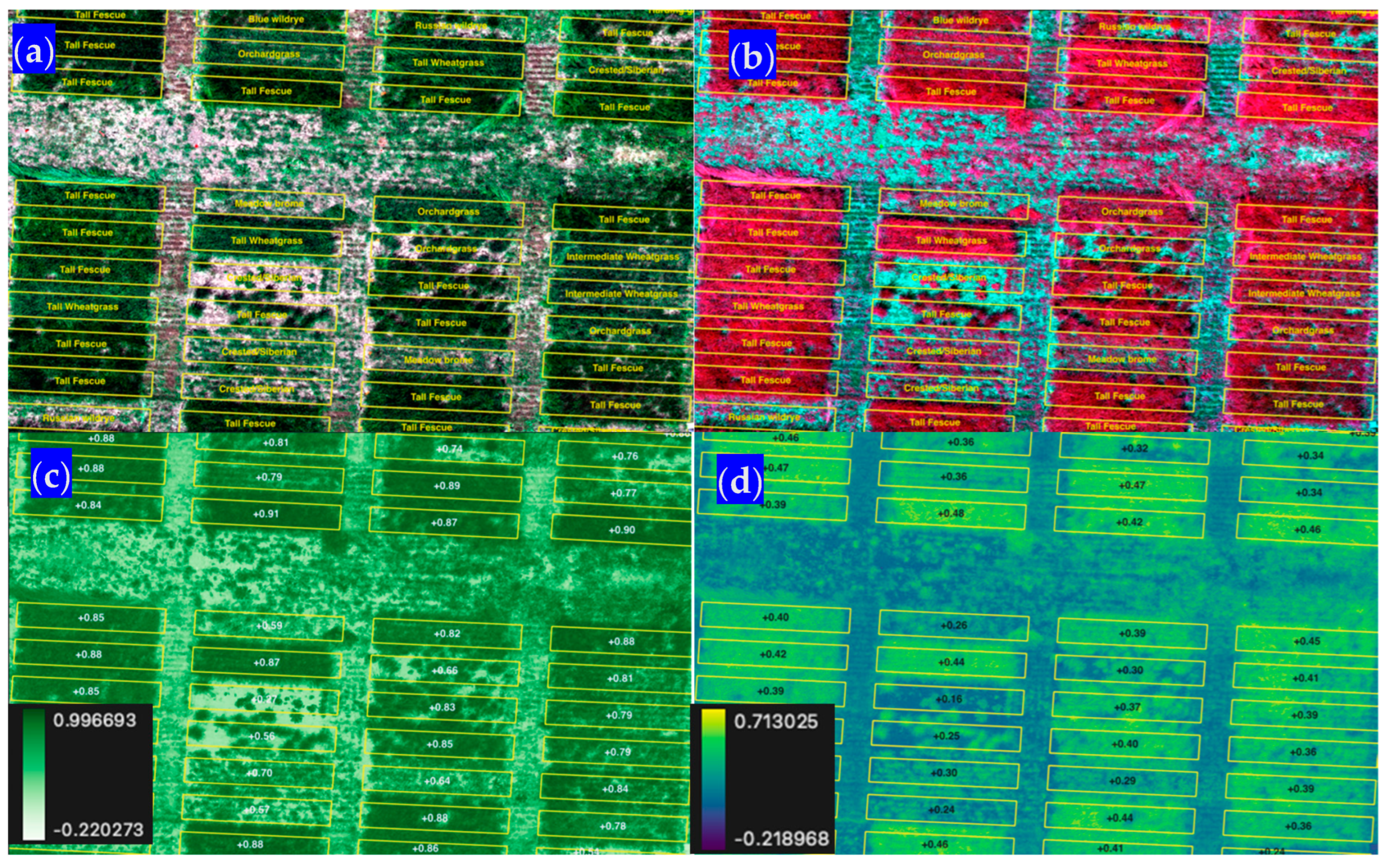 Grasses 03 00007 g007