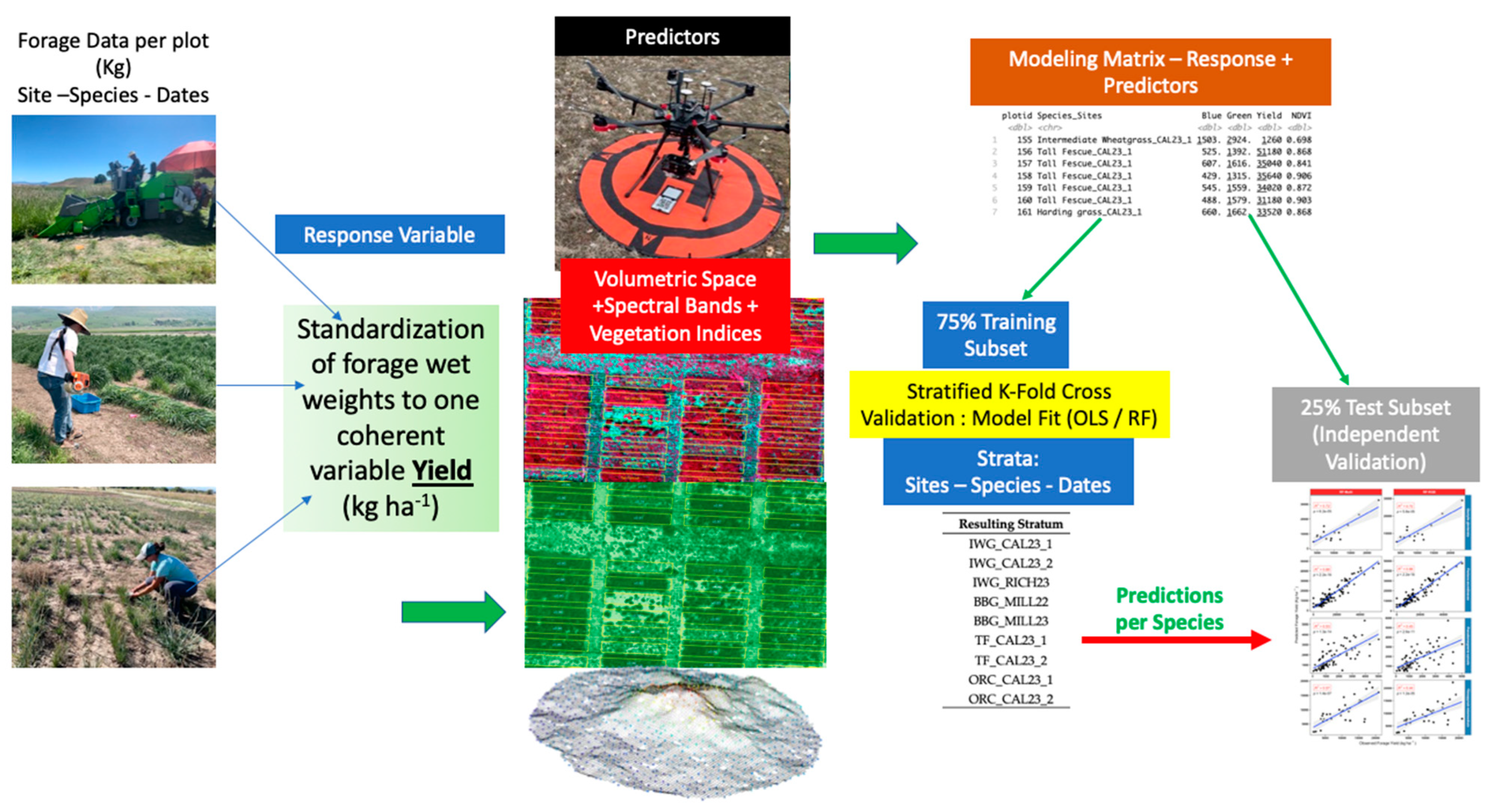Grasses 03 00007 g009