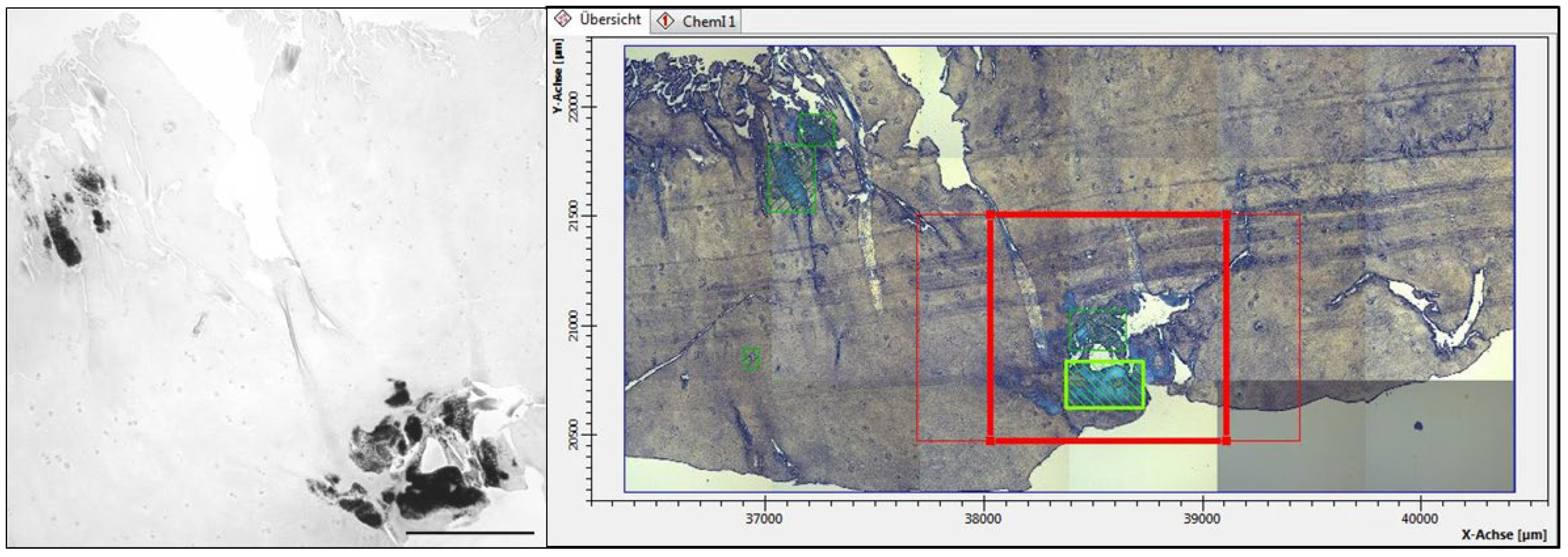 Gucdd 01 00007 g003 Gucdd 01 00007 g003