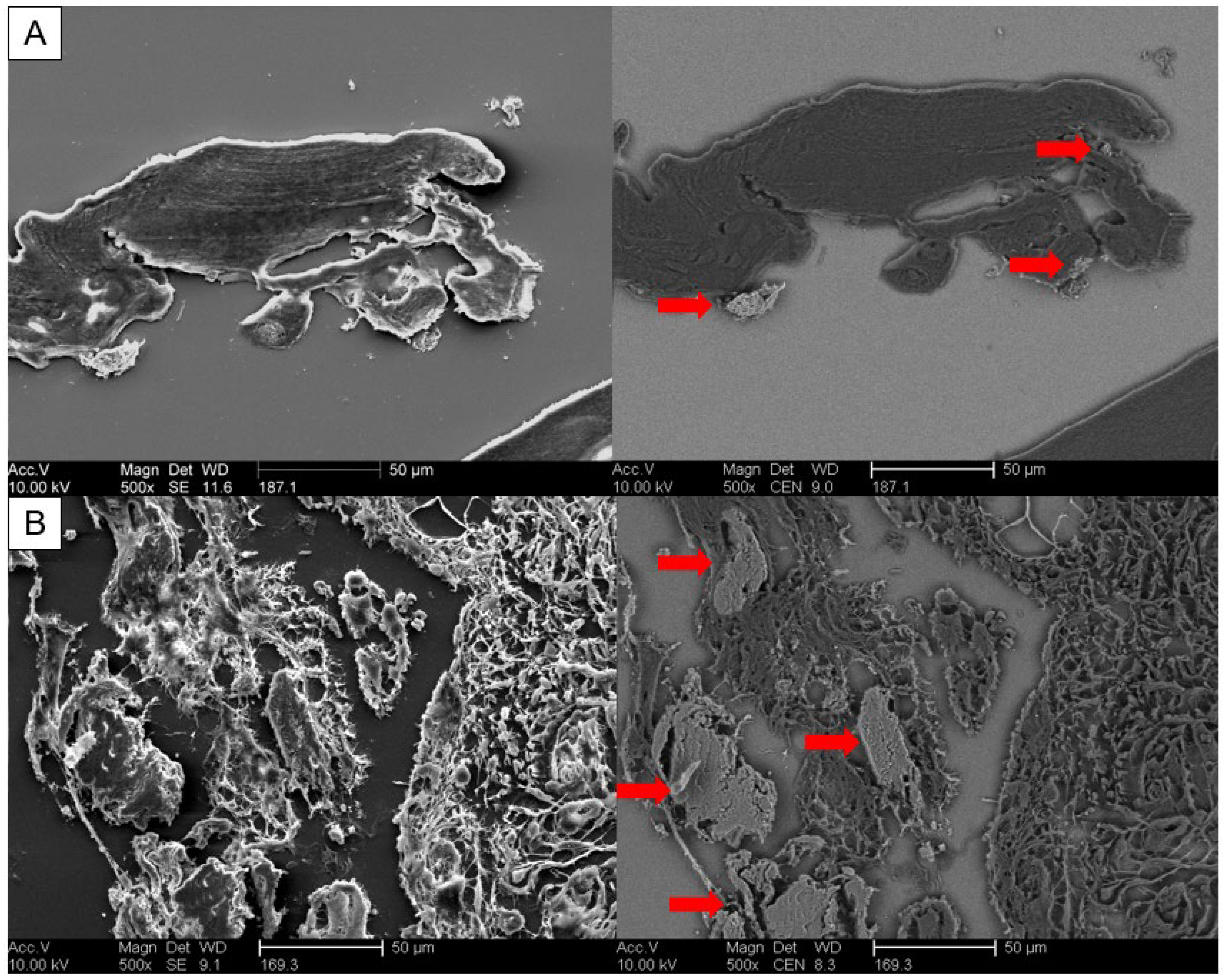 Gucdd 01 00007 g006 Gucdd 01 00007 g006