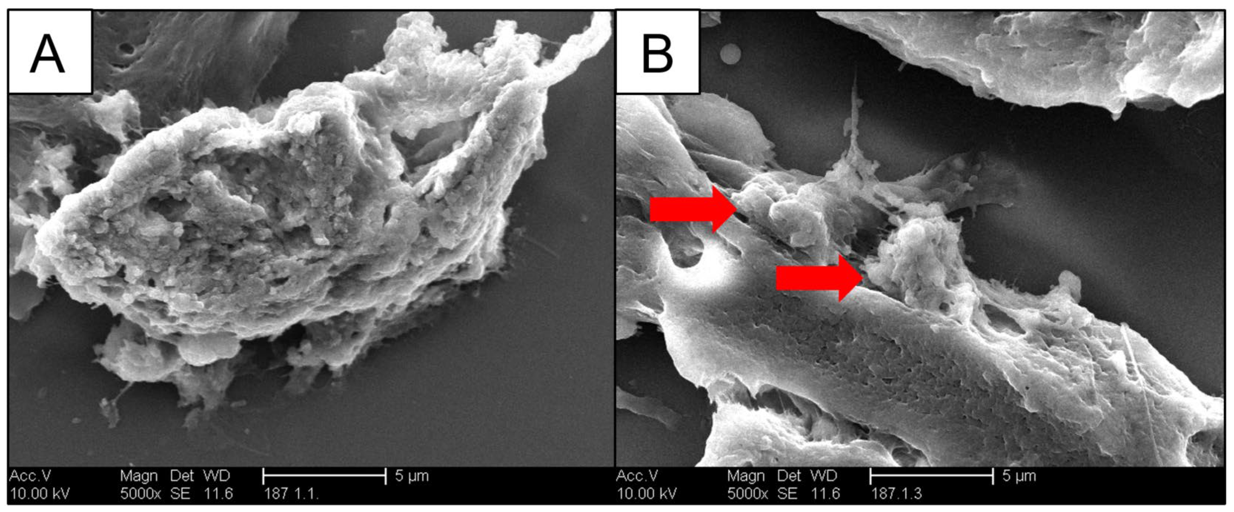 Gucdd 01 00007 g007 Gucdd 01 00007 g007