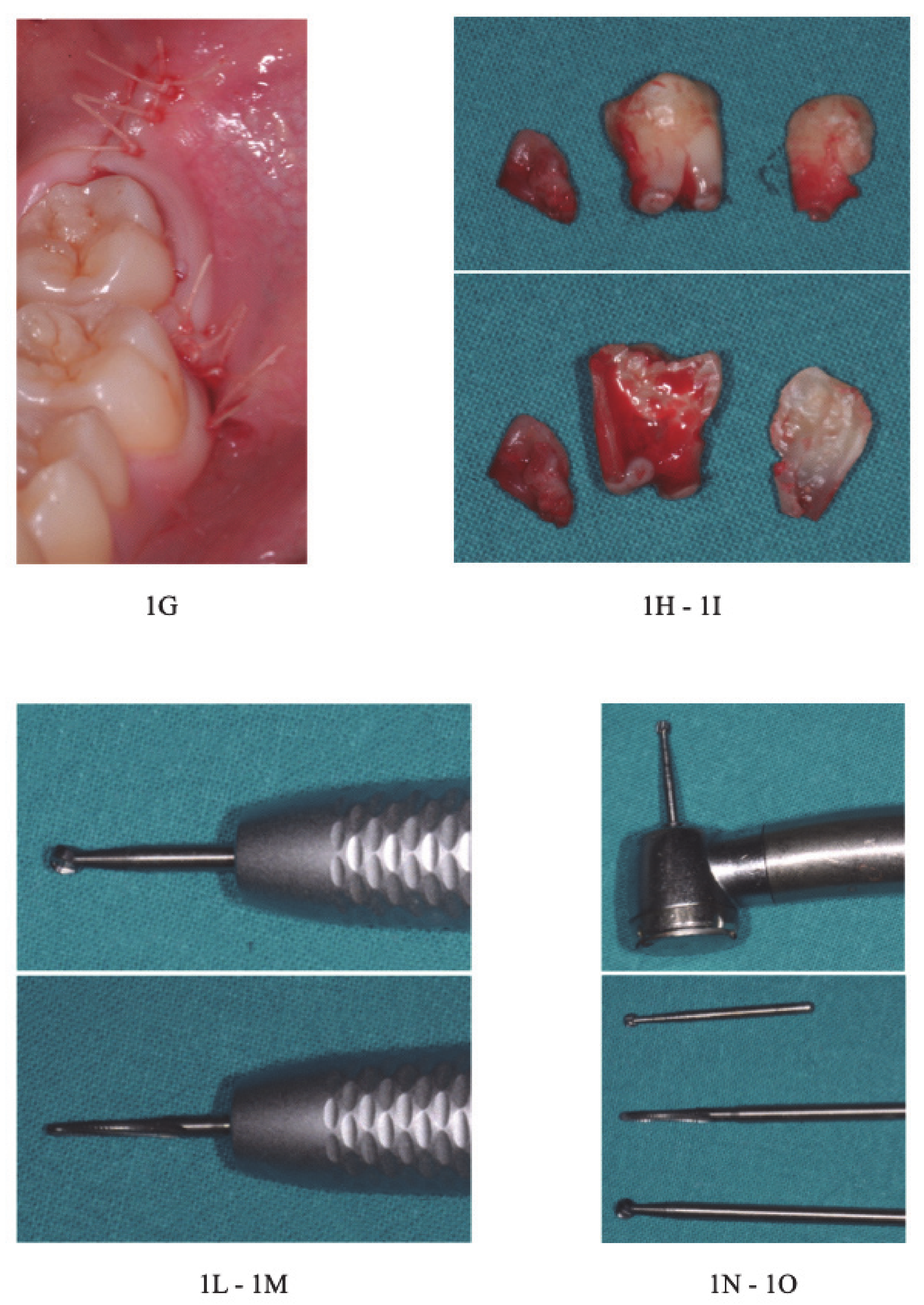 Healthcare 09 00121 g001b Healthcare 09 00121 g001b