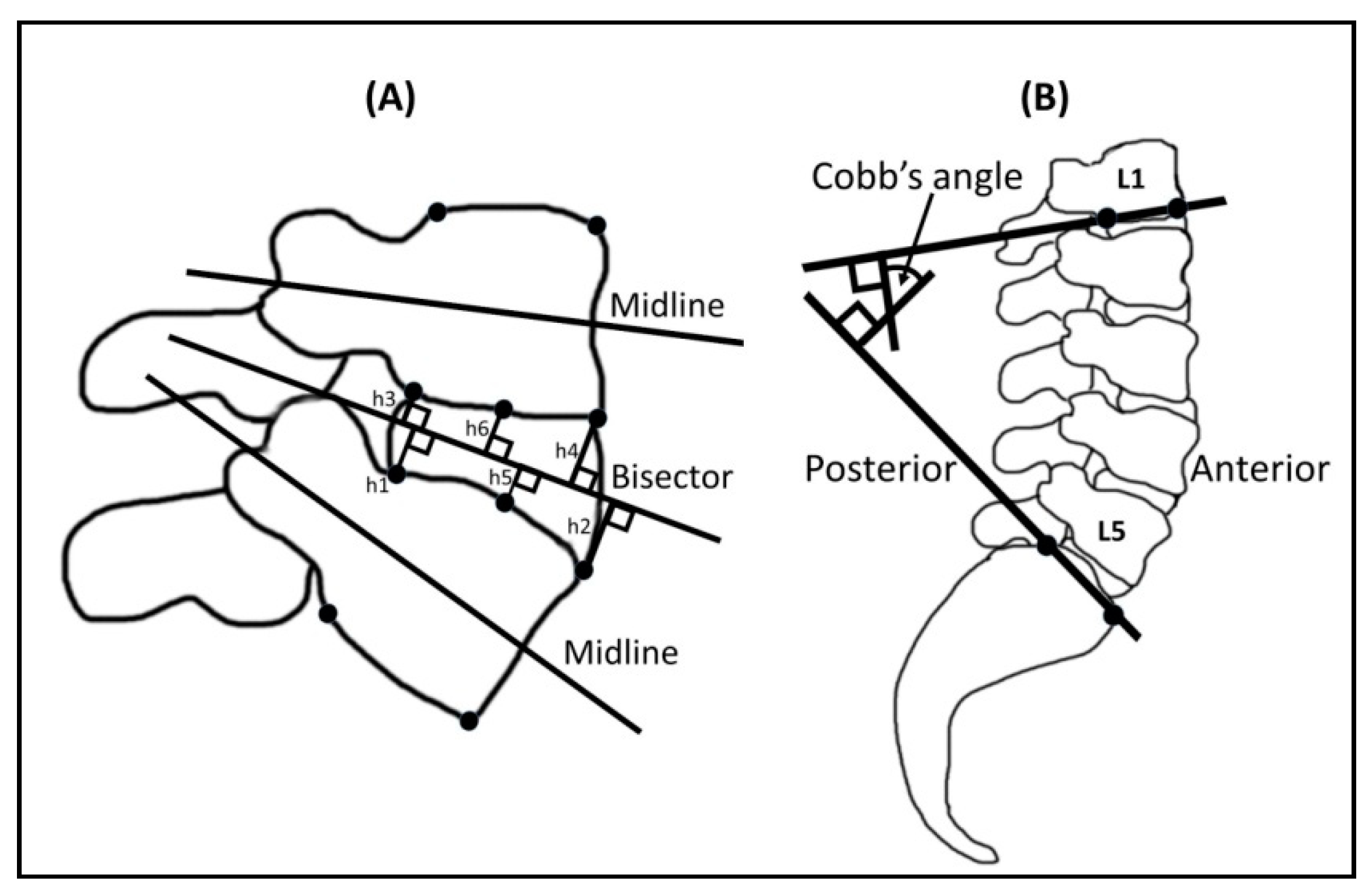 Healthcare 09 00900 g003 Healthcare 09 00900 g003
