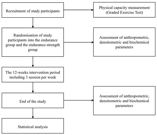 Healthcare | Free Full-Text | The Effect of Endurance and  Endurance-Strength Training on Bone Mineral Density and Content in  Abdominally Obese Postmenopausal Women: A Randomized Trial | HTML