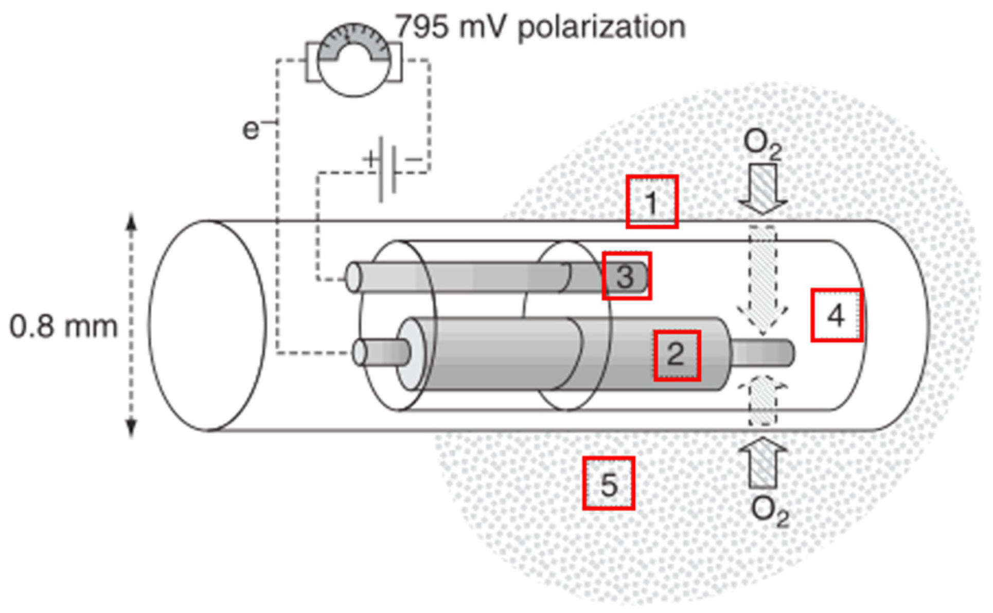 Healthcare 09 01104 g003