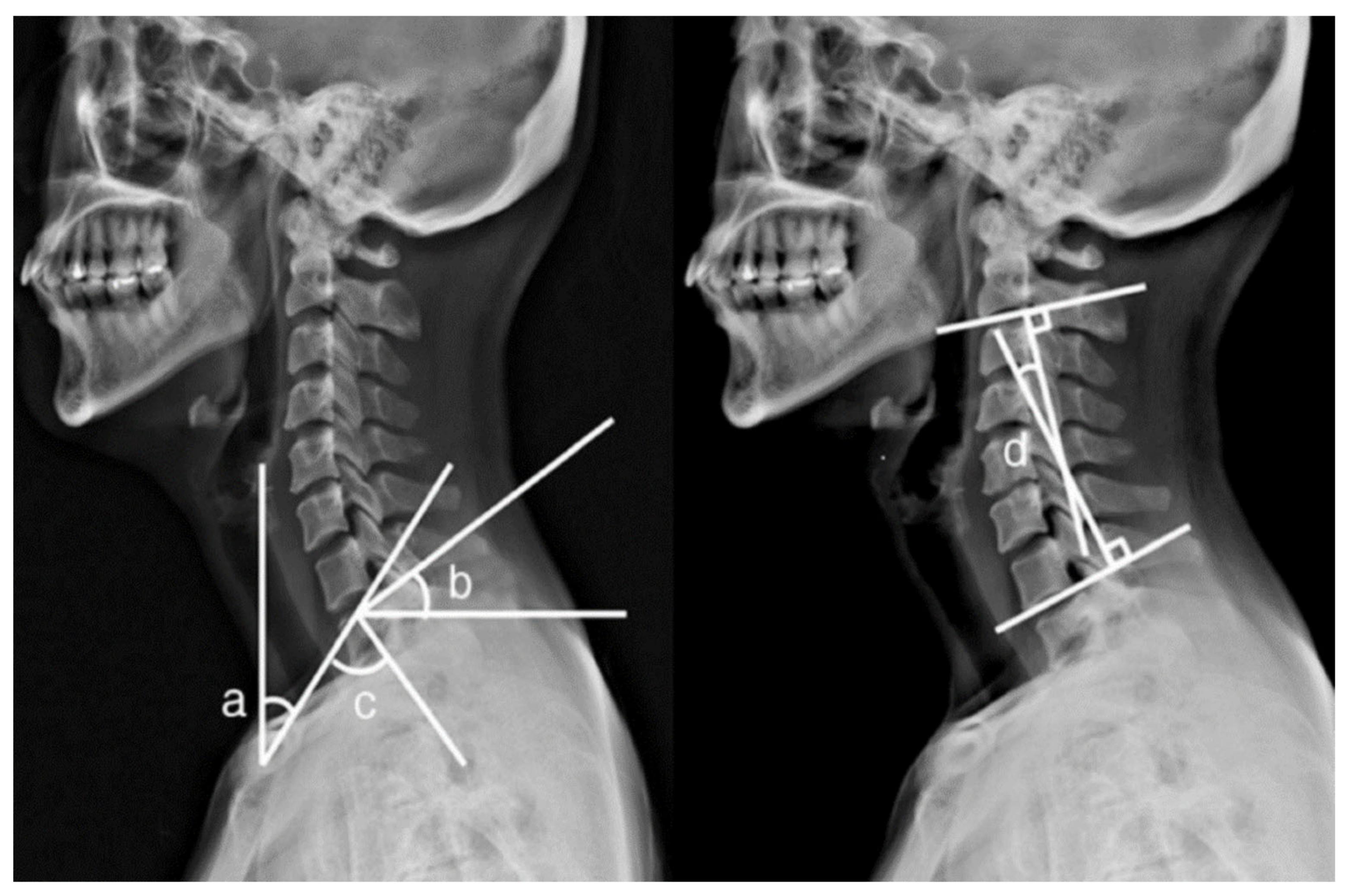 Healthcare 09 01333 g002 Healthcare 09 01333 g002
