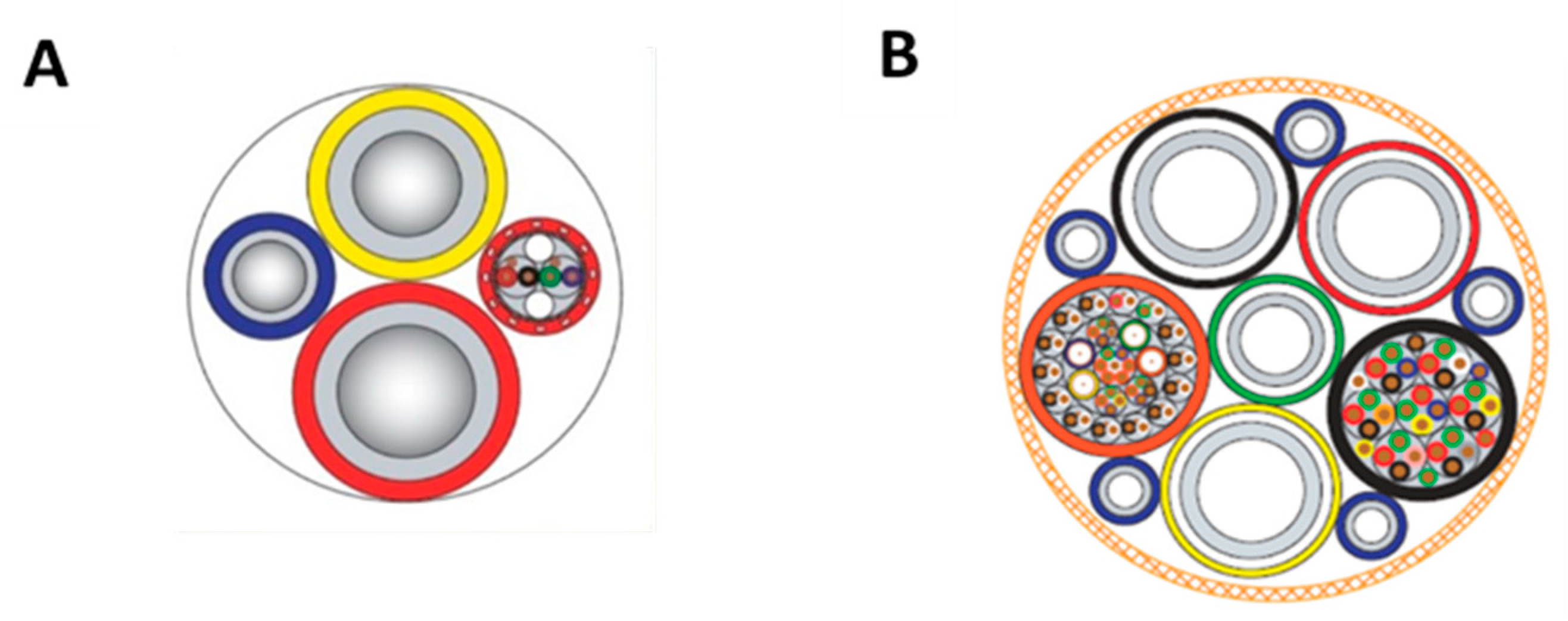Healthcare 10 00453 g002