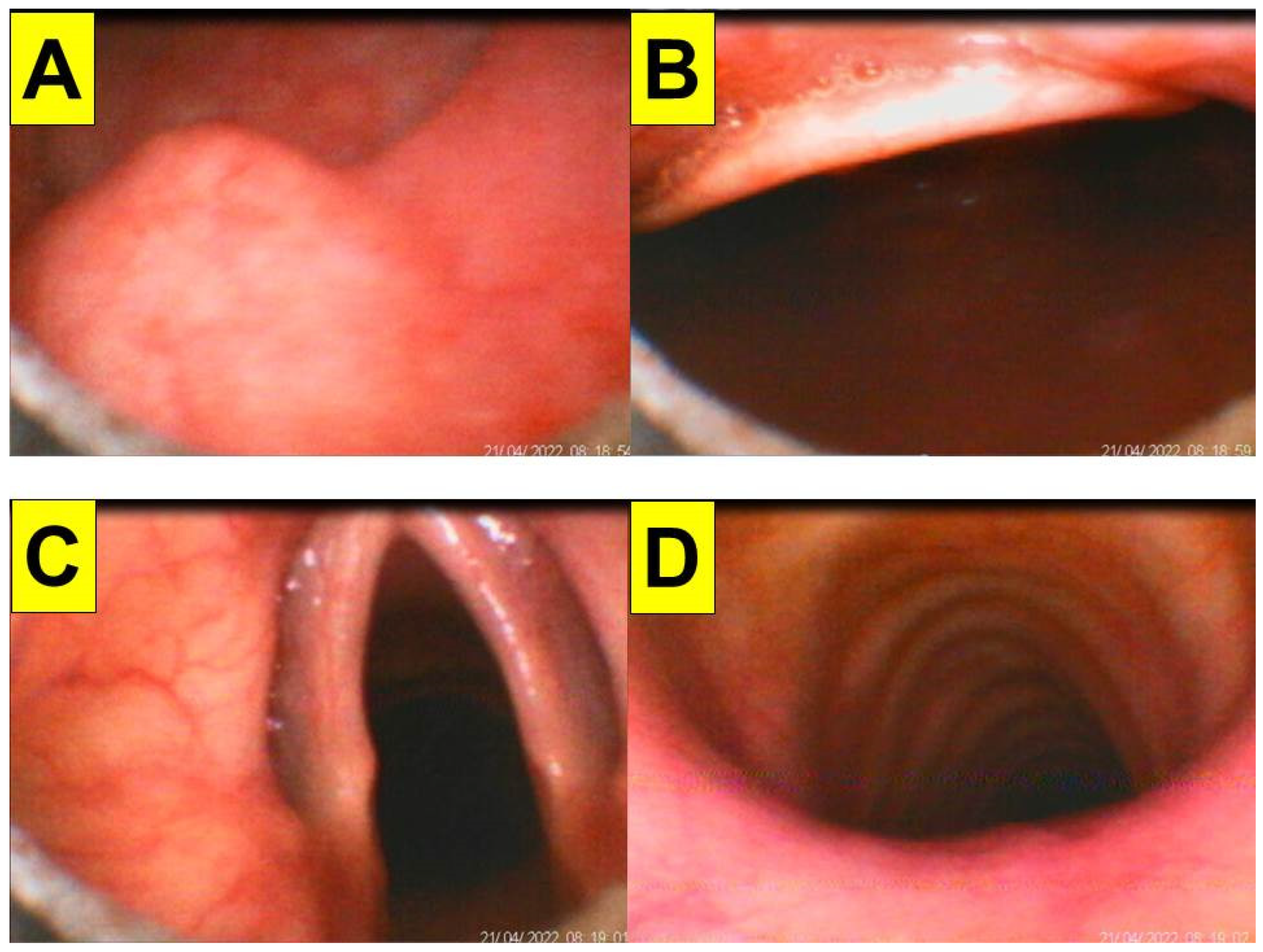 Healthcare 10 01105 g010