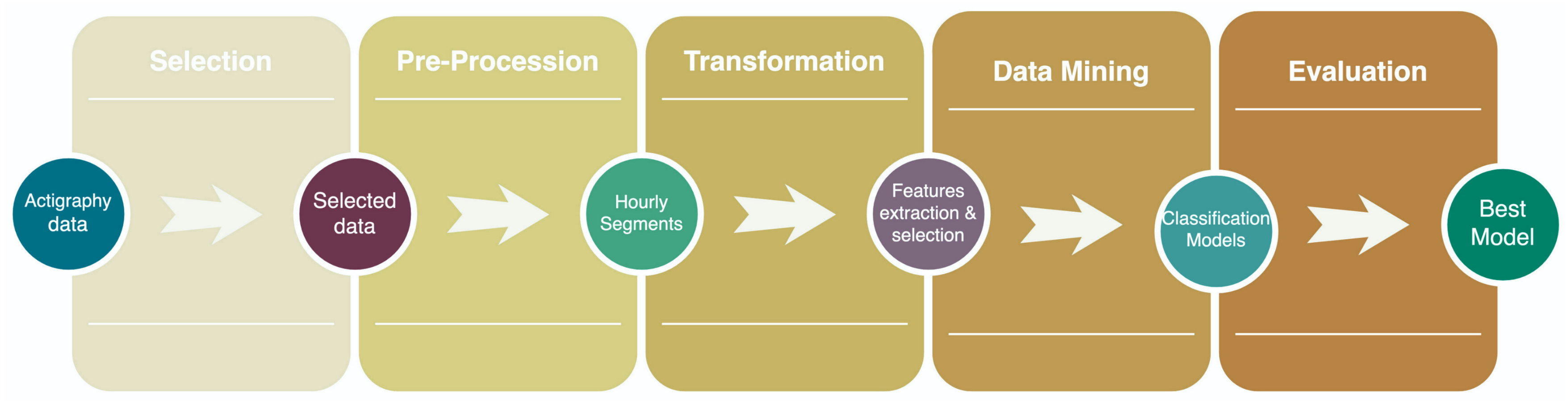 Healthcare 10 01256 g001