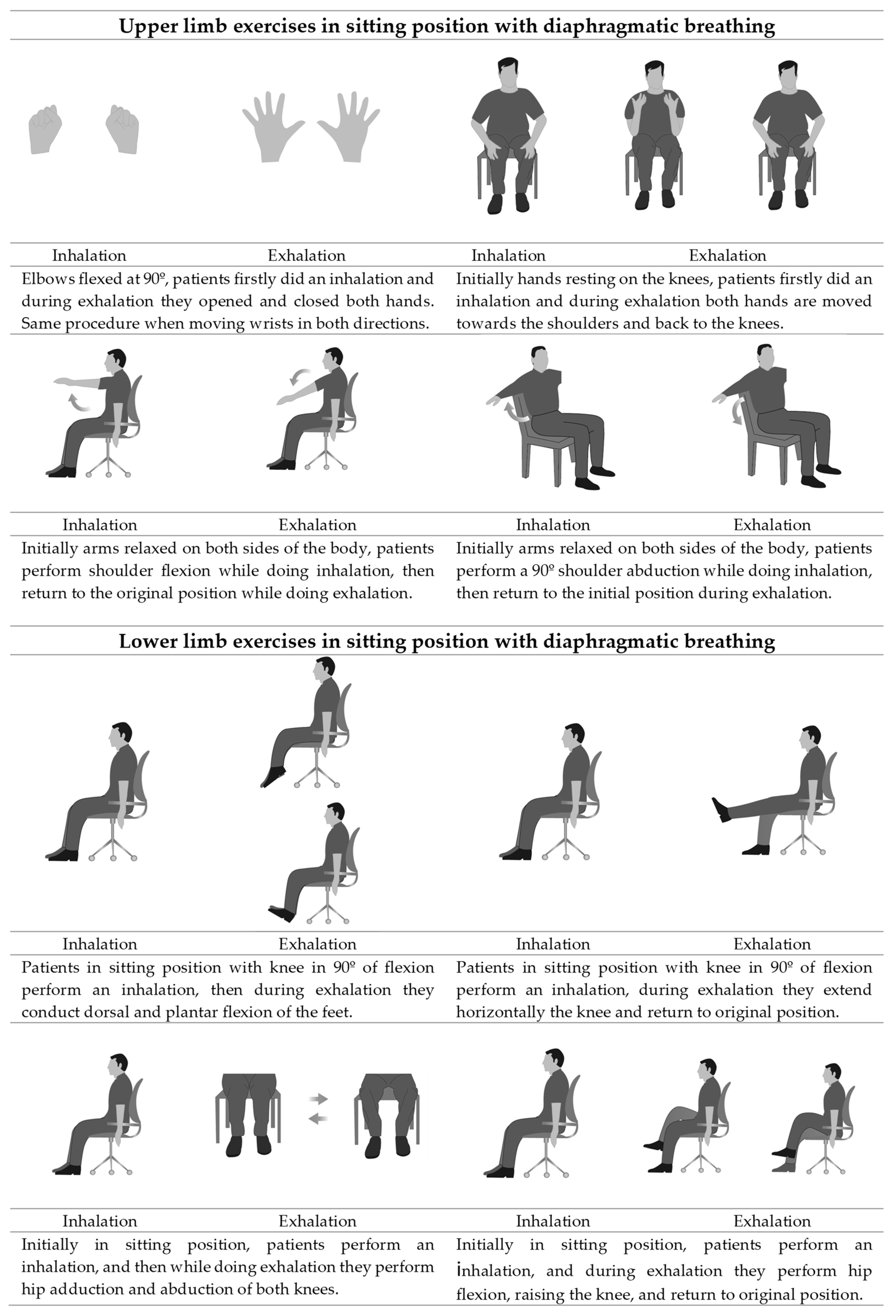 Image result for printable Chair Exercises For Seniors