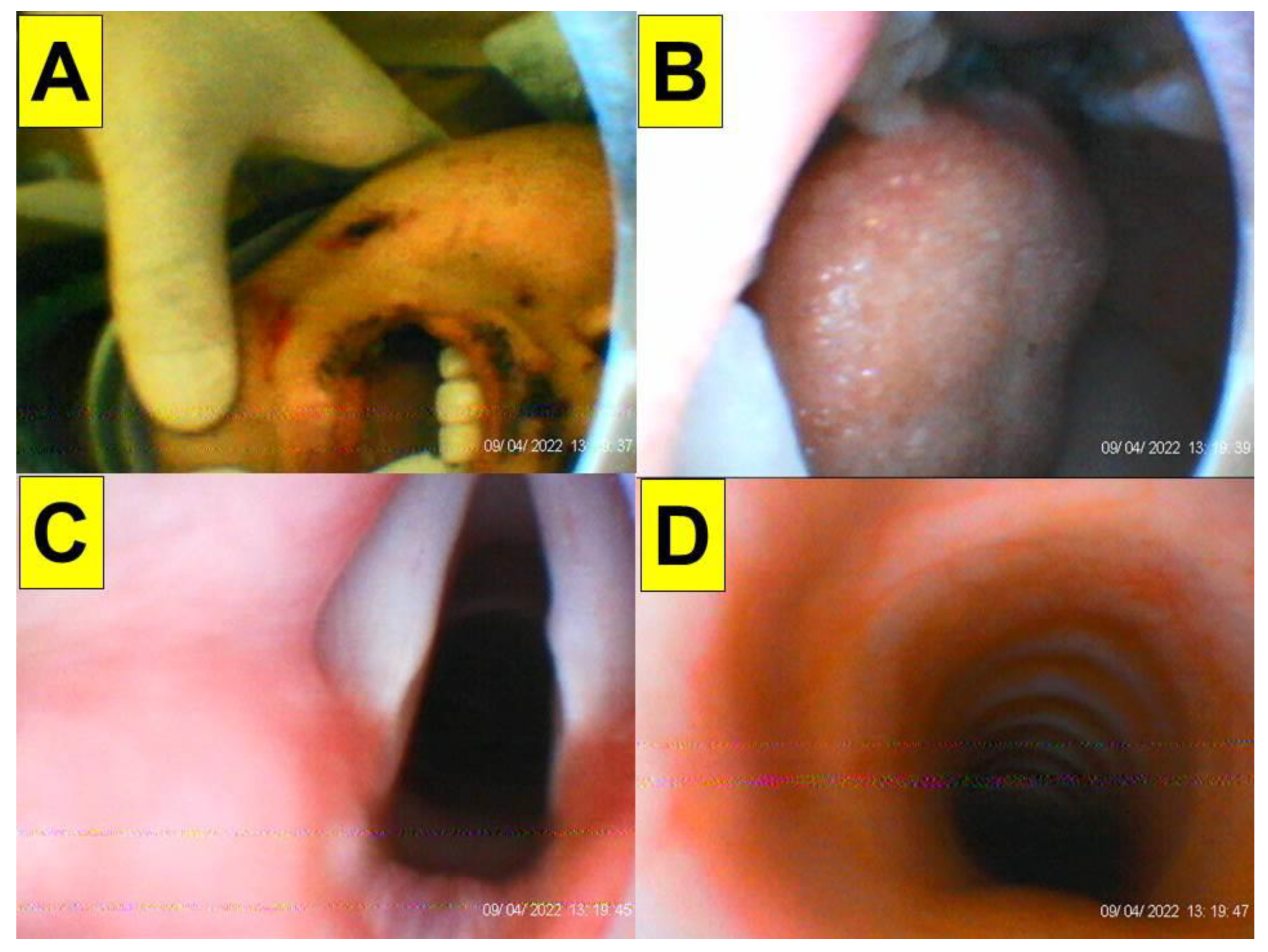 Healthcare 10 01688 g003 Healthcare 10 01688 g003