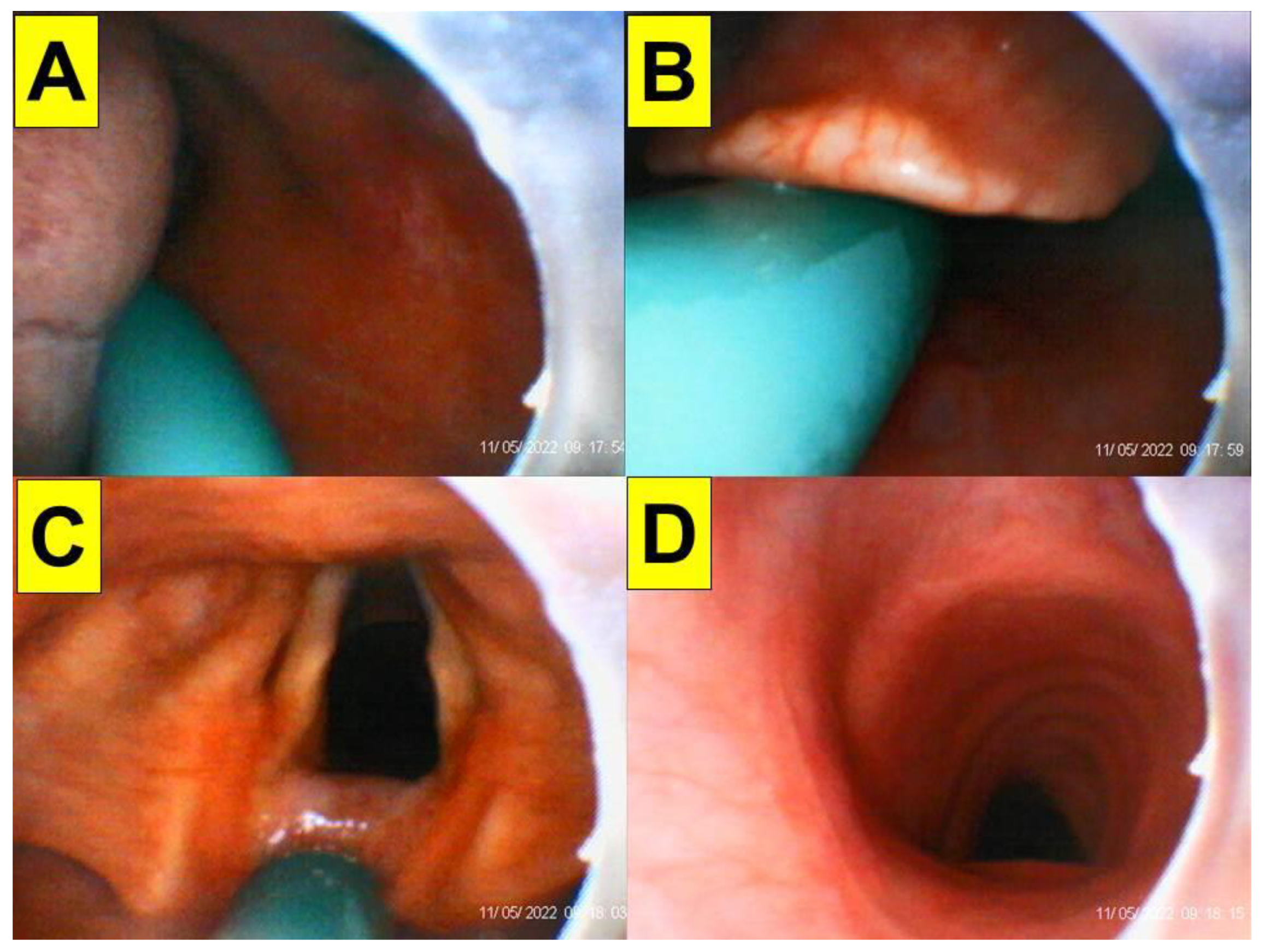 Healthcare 10 01688 g007 Healthcare 10 01688 g007