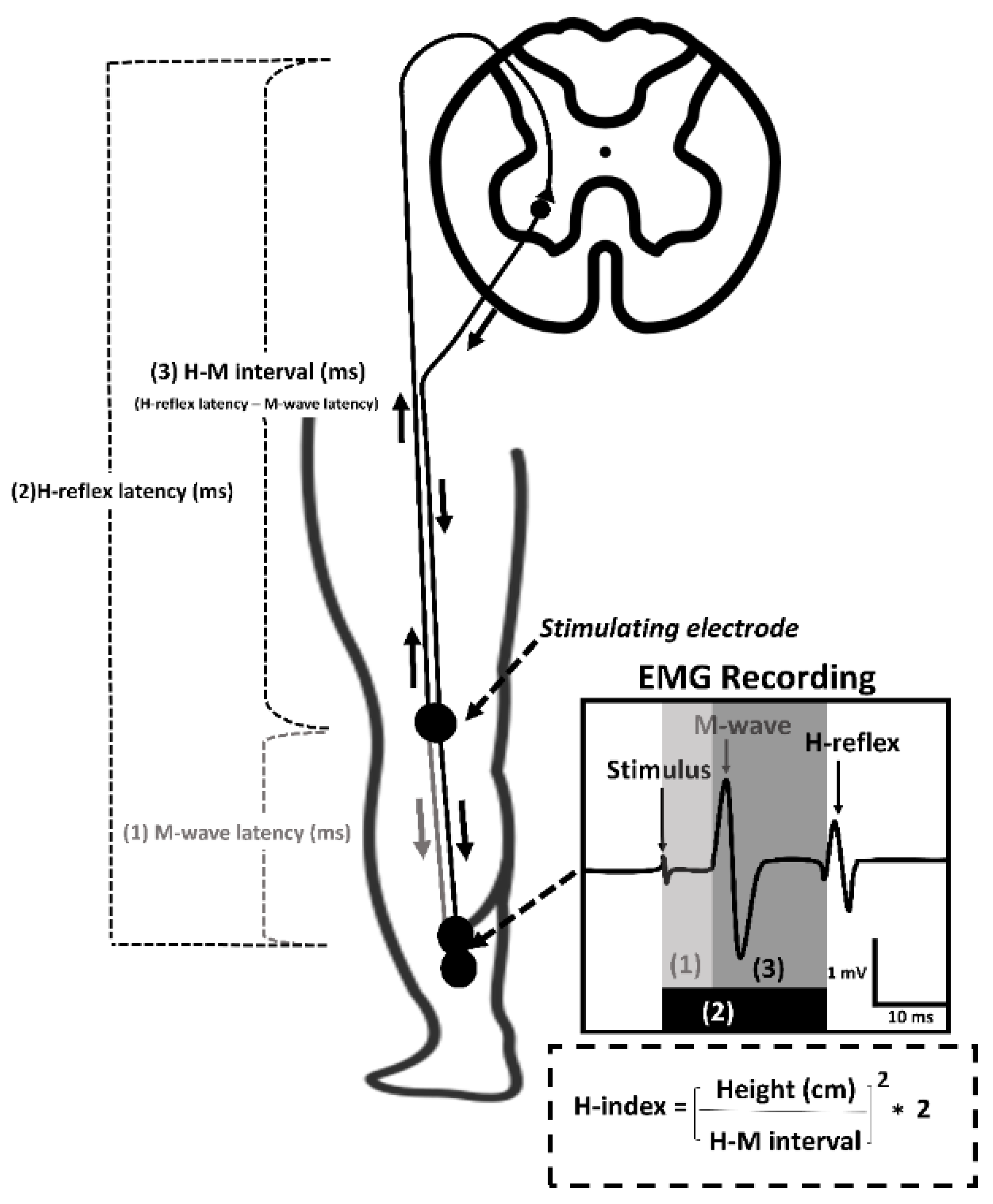 Healthcare 10 01794 g001