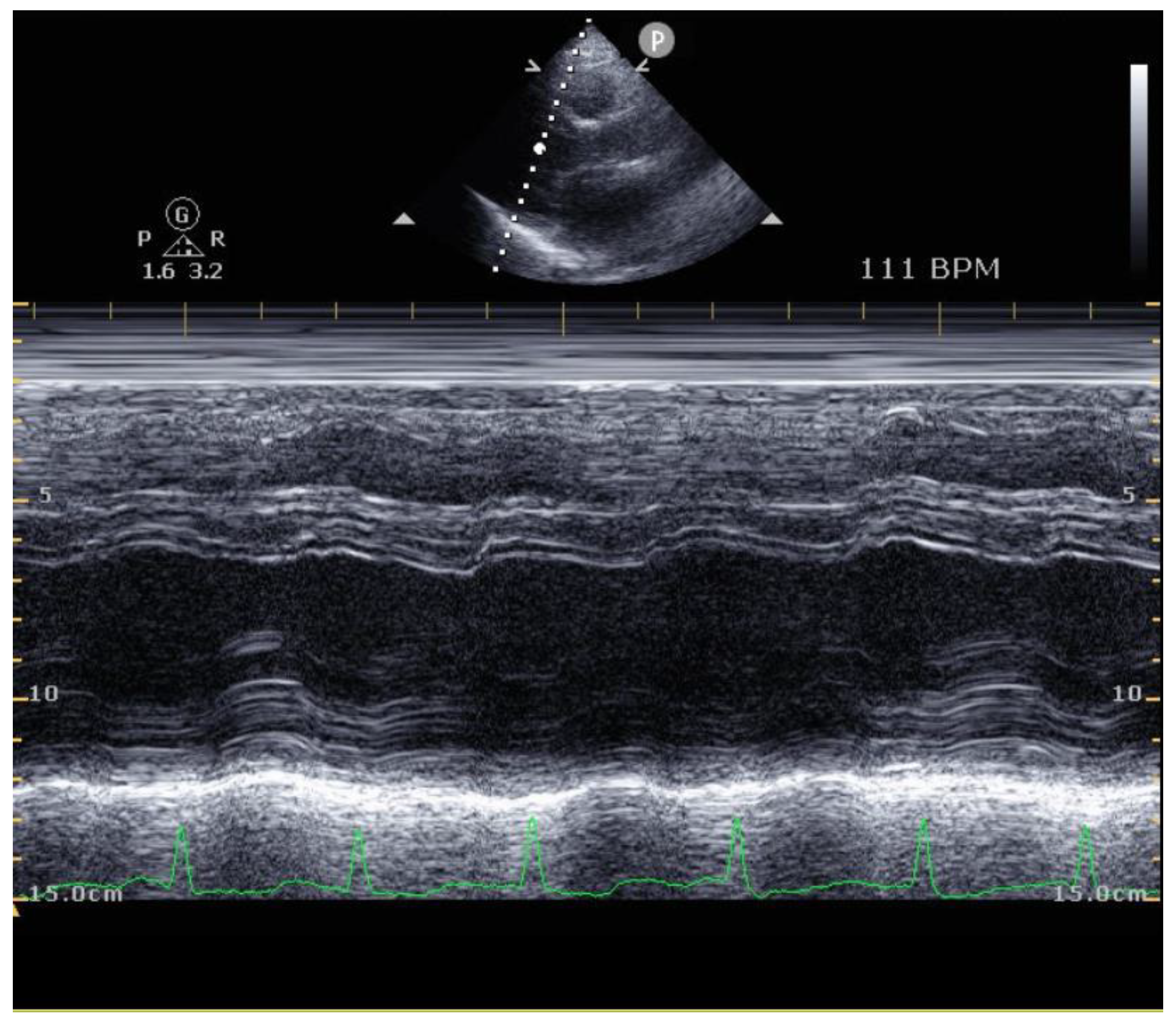 Healthcare 10 01849 g003