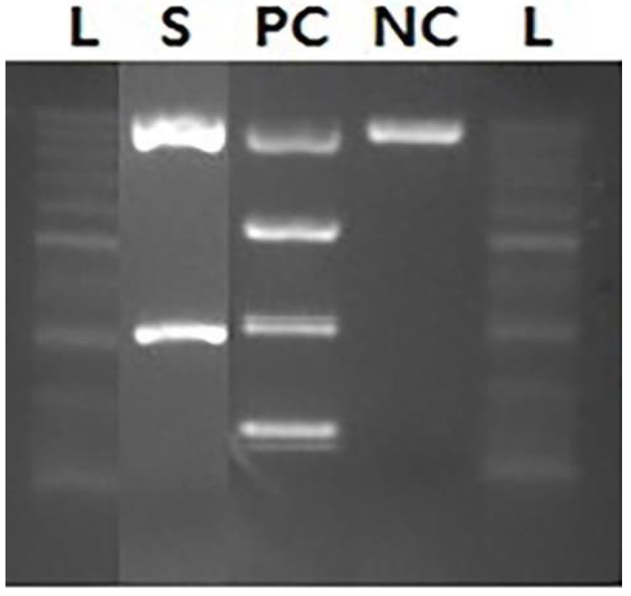 Healthcare 10 02063 g003 Healthcare 10 02063 g003