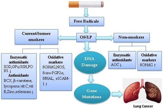 https://www.mdpi.com/healthcare/healthcare-10-02501/article_deploy/html/images/healthcare-10-02501-g001-550.jpg