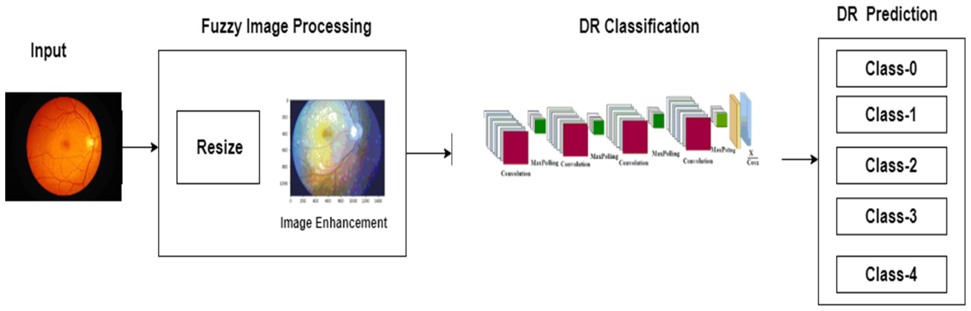 Healthcare | Free Full-Text | Deep Learning for the Detection and ...