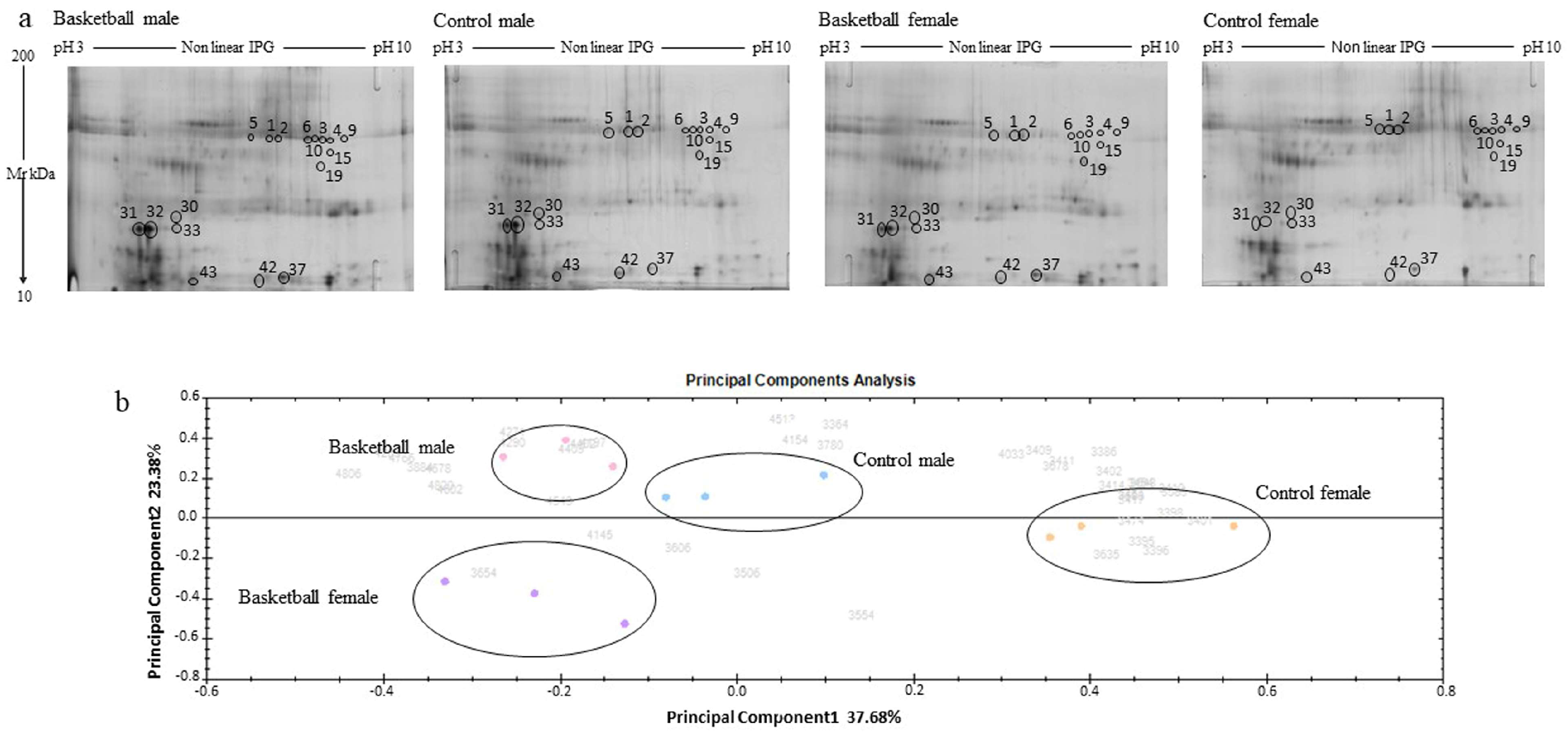 Healthcare 11 00241 g001 Healthcare 11 00241 g001