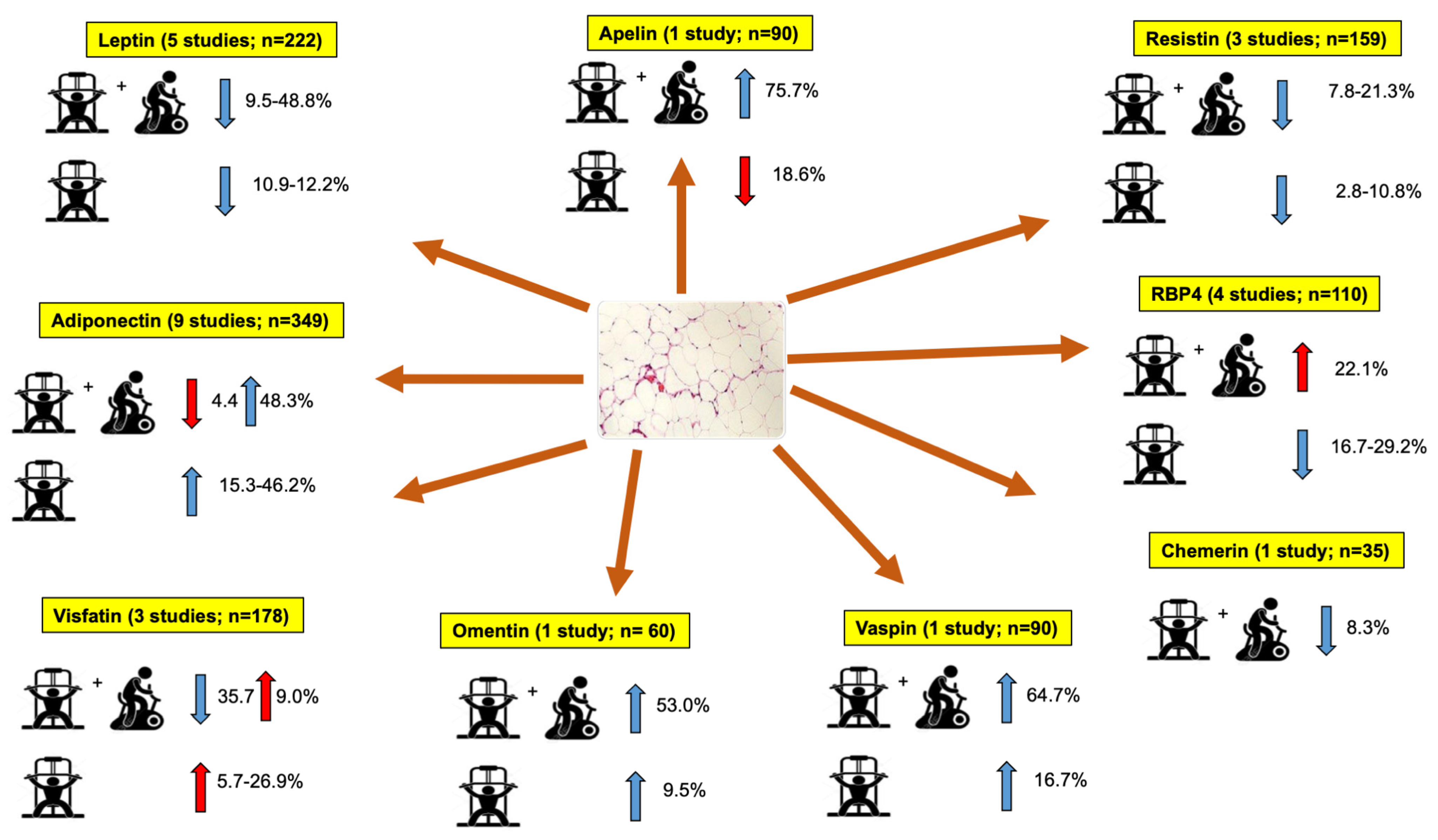 Healthcare 11 00594 g002