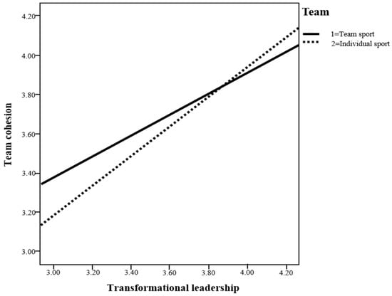 Team Sports vs. Individual Sports