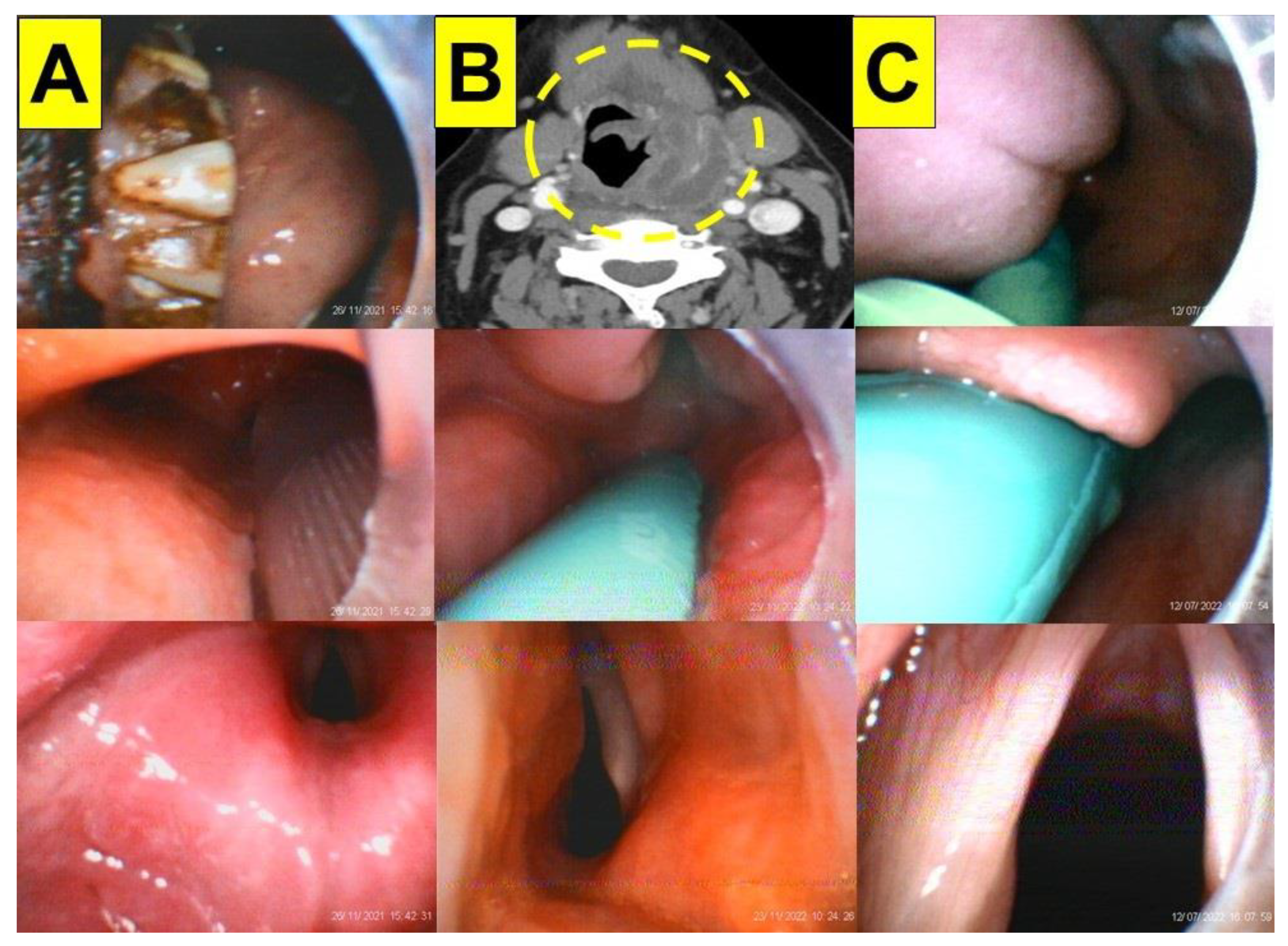Healthcare 11 00891 g005 Healthcare 11 00891 g005