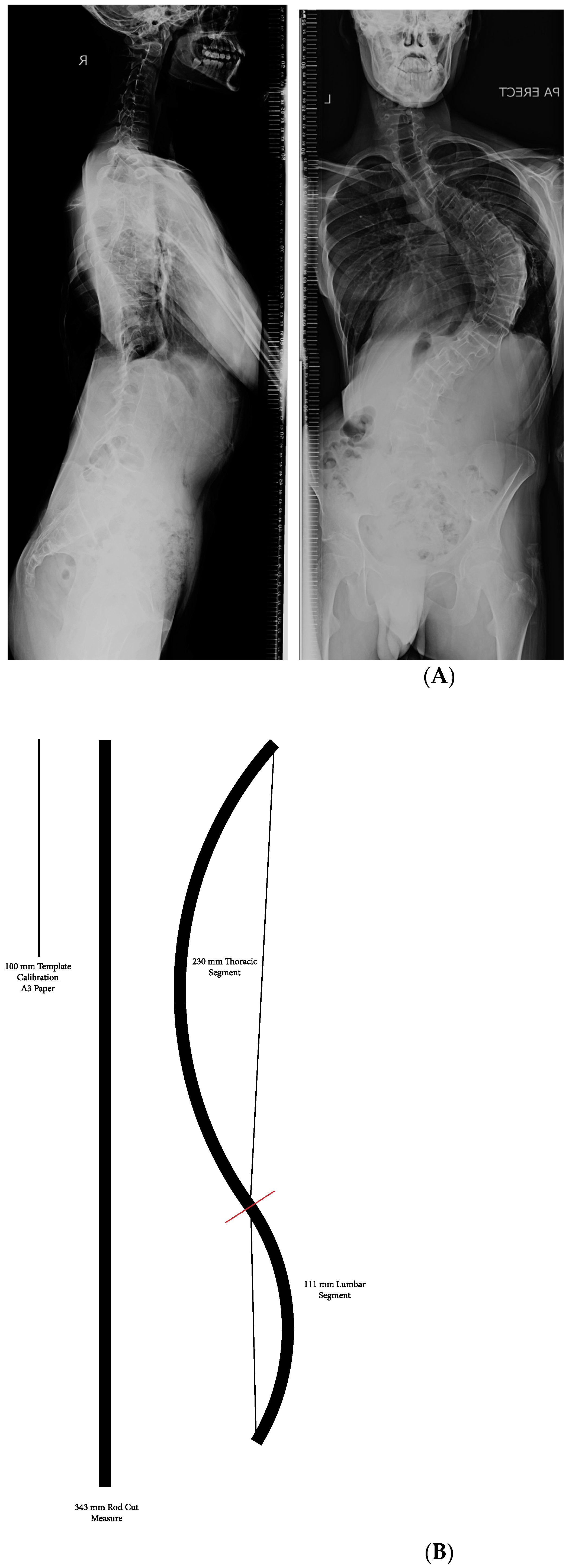 Healthcare 11 00980 g006a Healthcare 11 00980 g006a