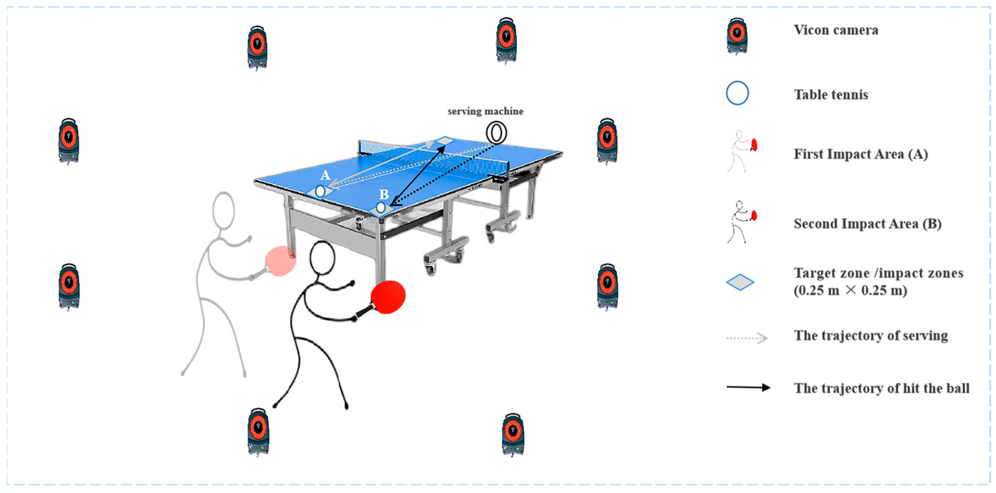 Healthcare | Free Full-Text | Biomechanics of Topspin Forehand Loop in Table  Tennis: An Application of OpenSim Musculoskeletal Modelling
