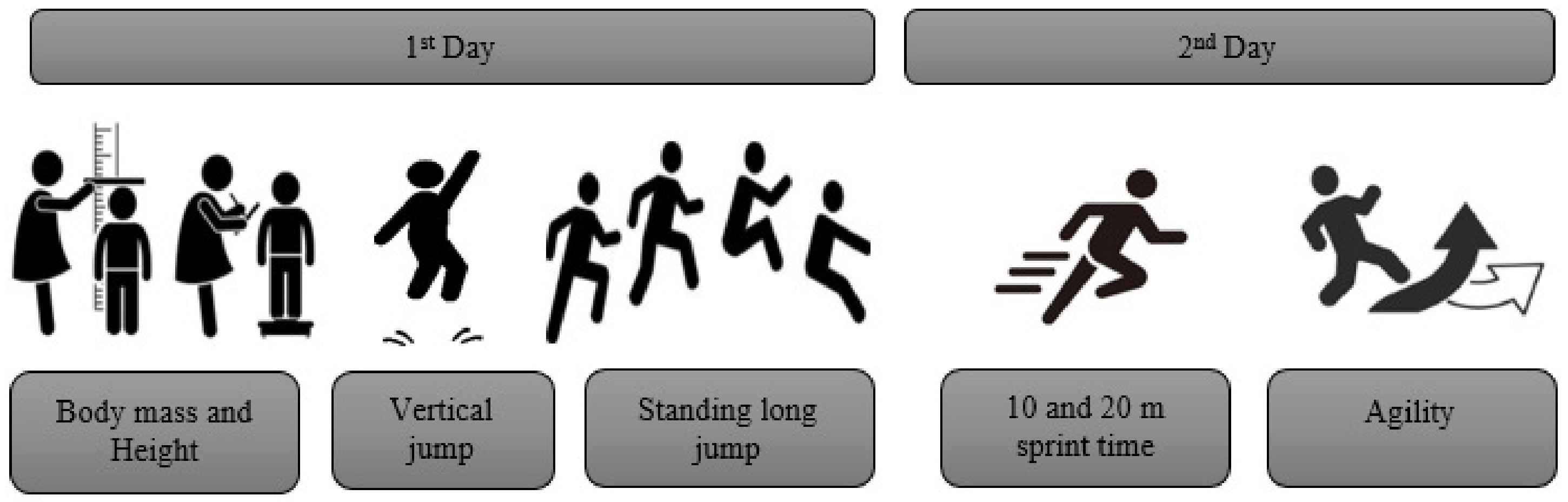 Top 6 Plyometric Exercises For Active Older Adults - Action Potential