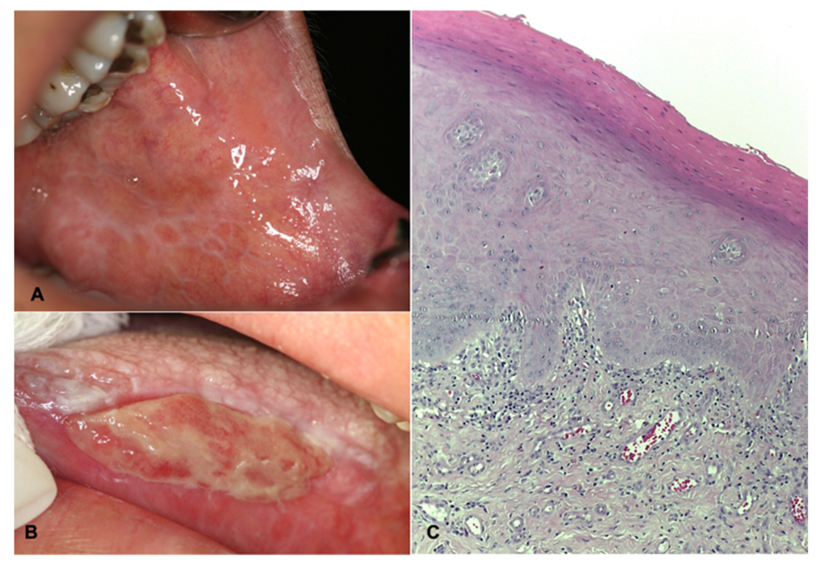 Healthcare 11 01738 g001 Healthcare 11 01738 g001