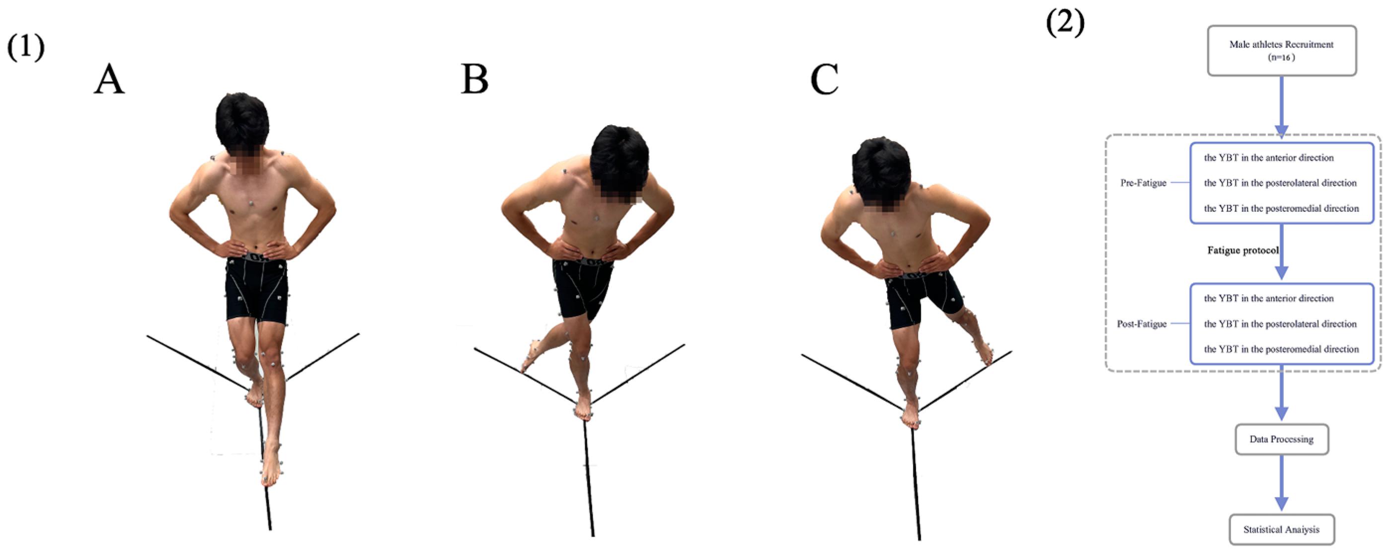Healthcare | Free Full-Text | The Effects of Fatigue on the Lower Limb  Biomechanics of Amateur Athletes during a Y-Balance Test