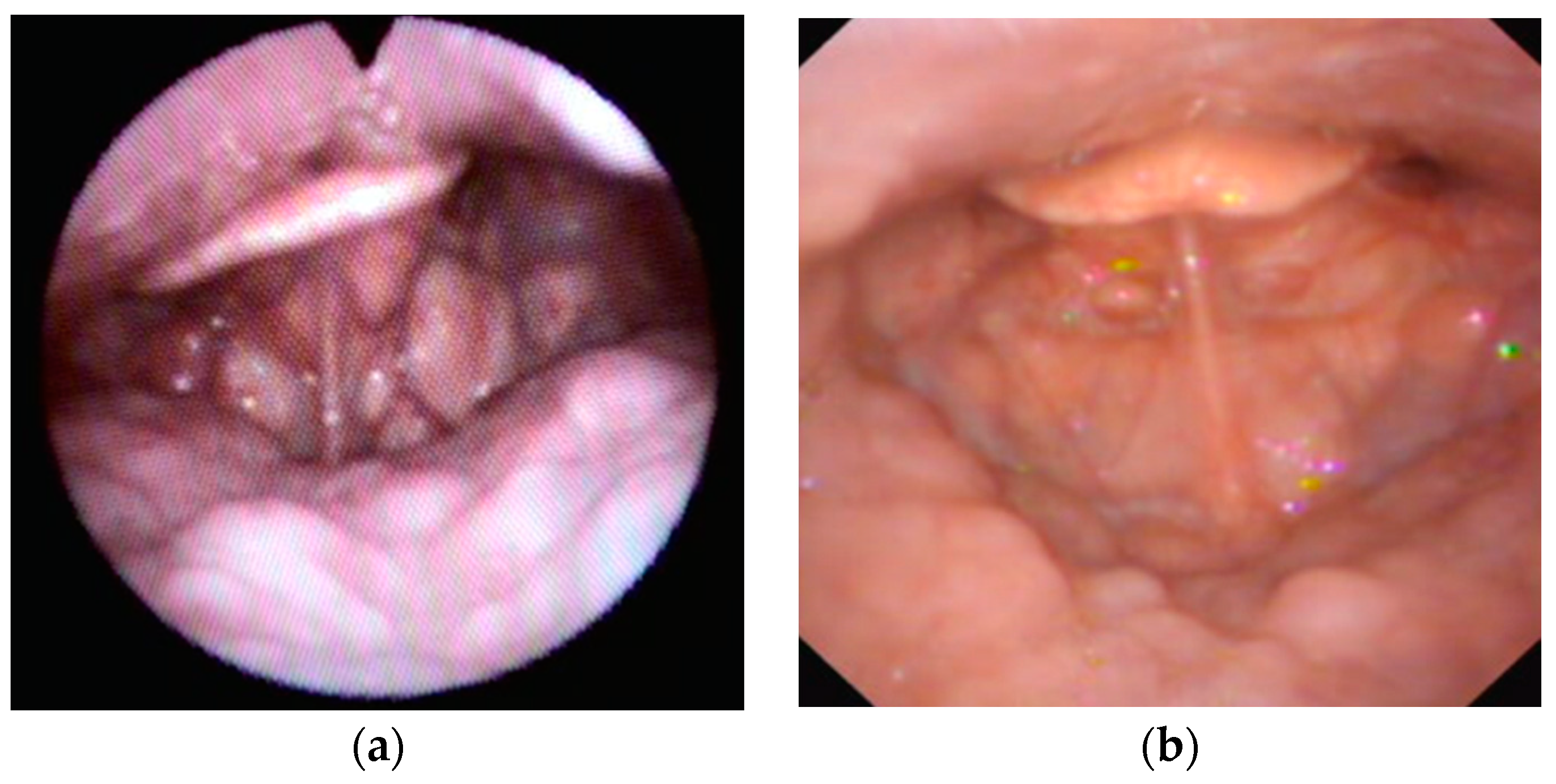 Healthcare 11 02874 g002 Healthcare 11 02874 g002