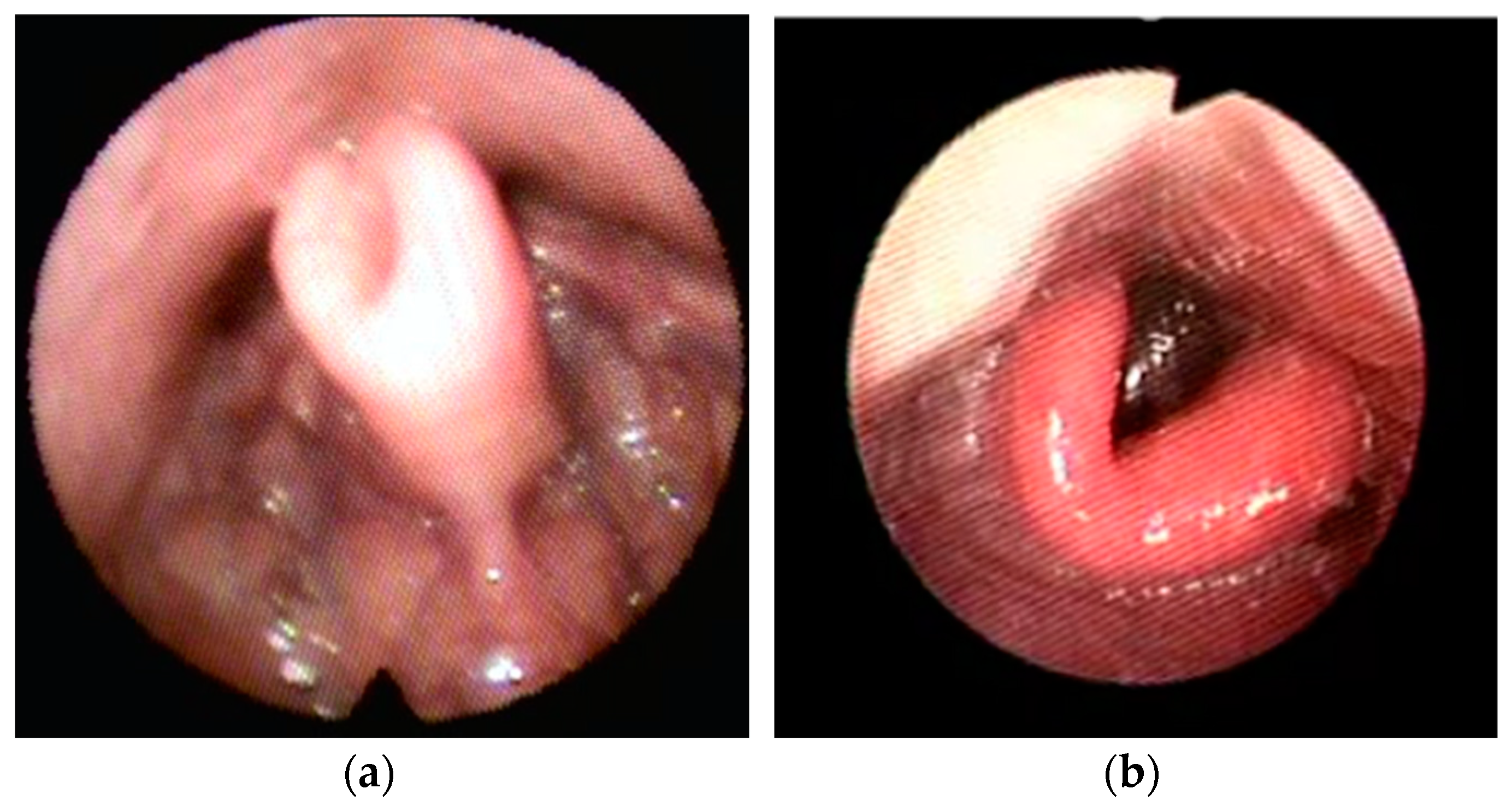 Healthcare 11 02874 g003 Healthcare 11 02874 g003