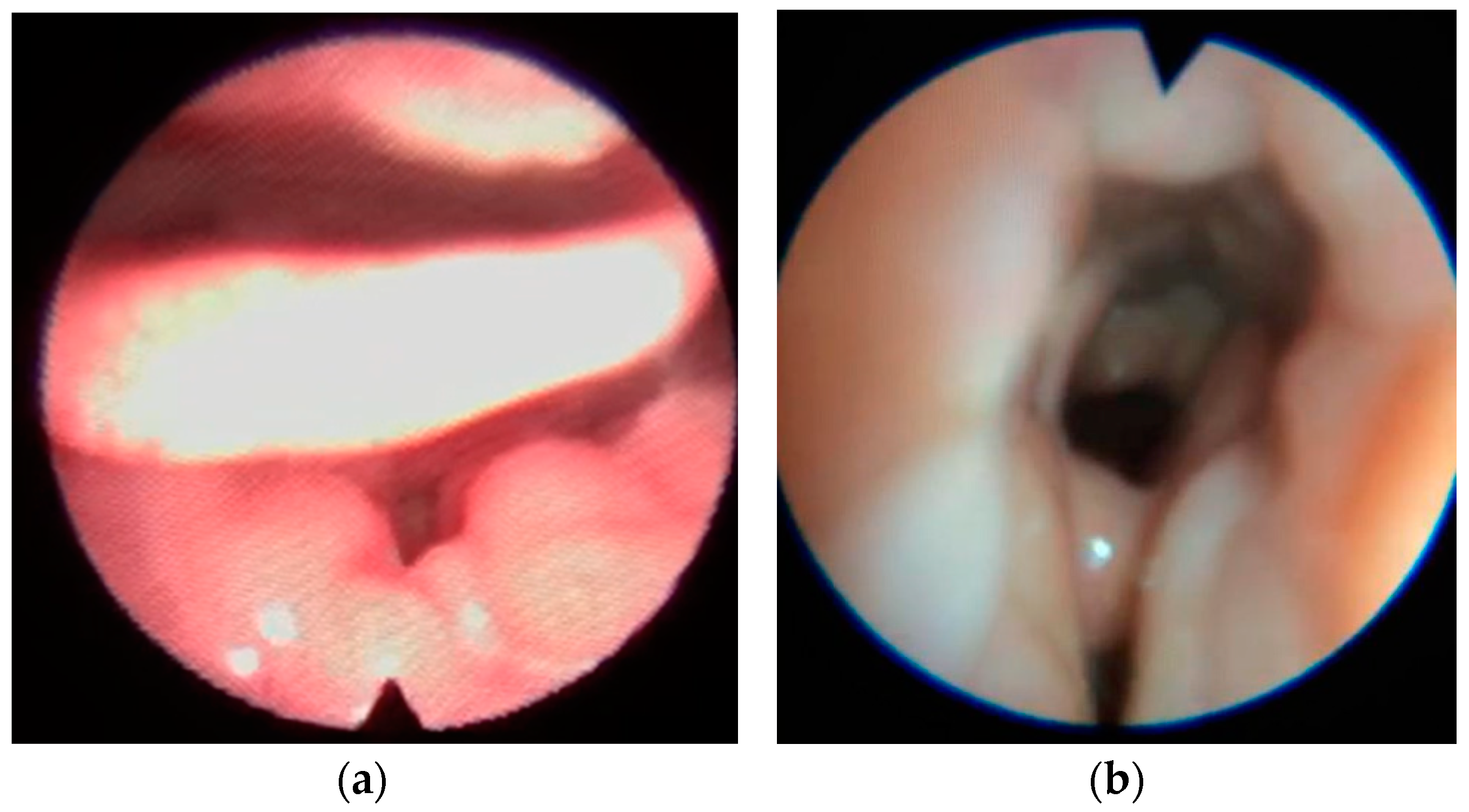 Healthcare 11 02874 g004 Healthcare 11 02874 g004